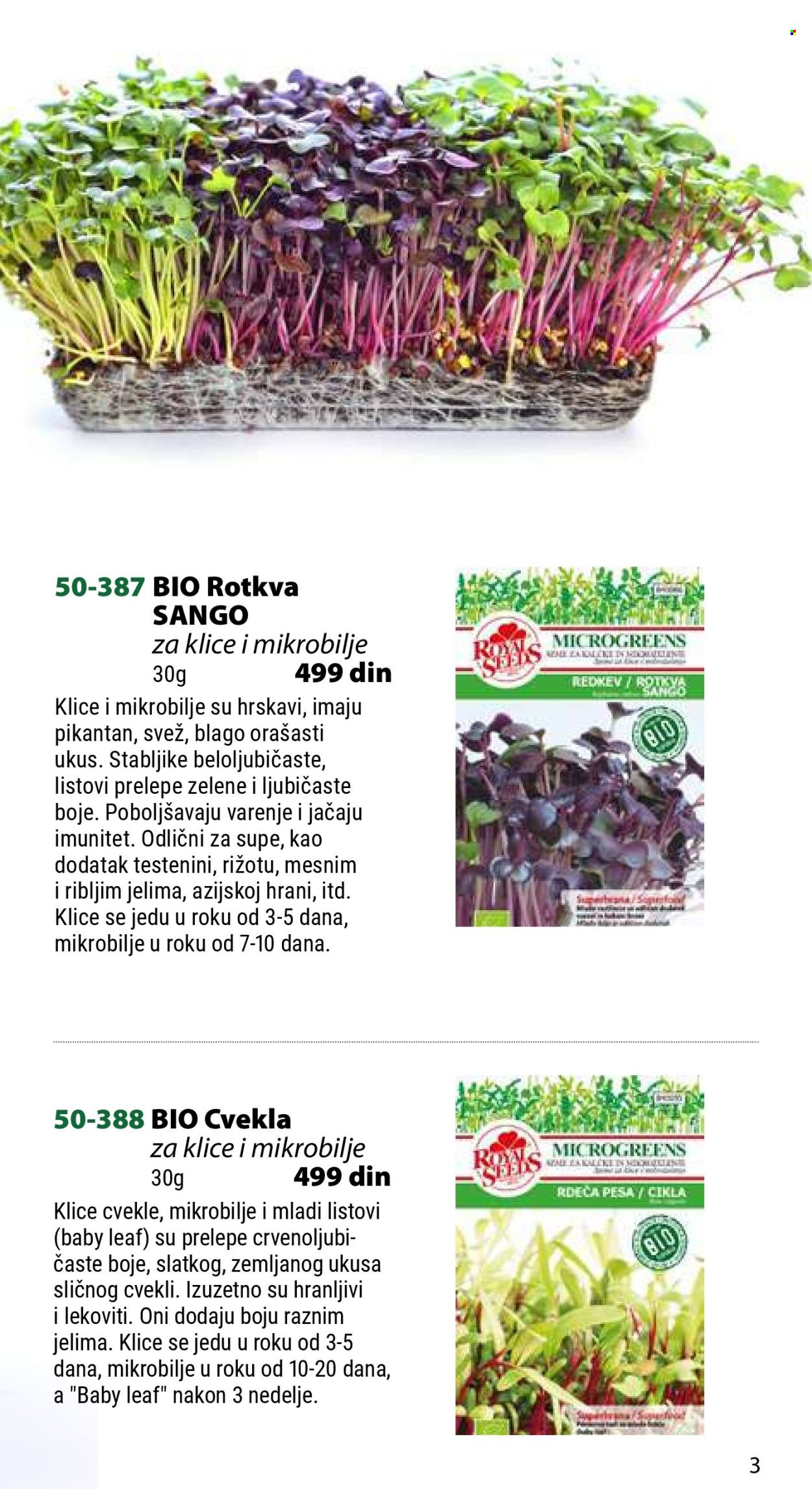 Flora Ekspres katalog .