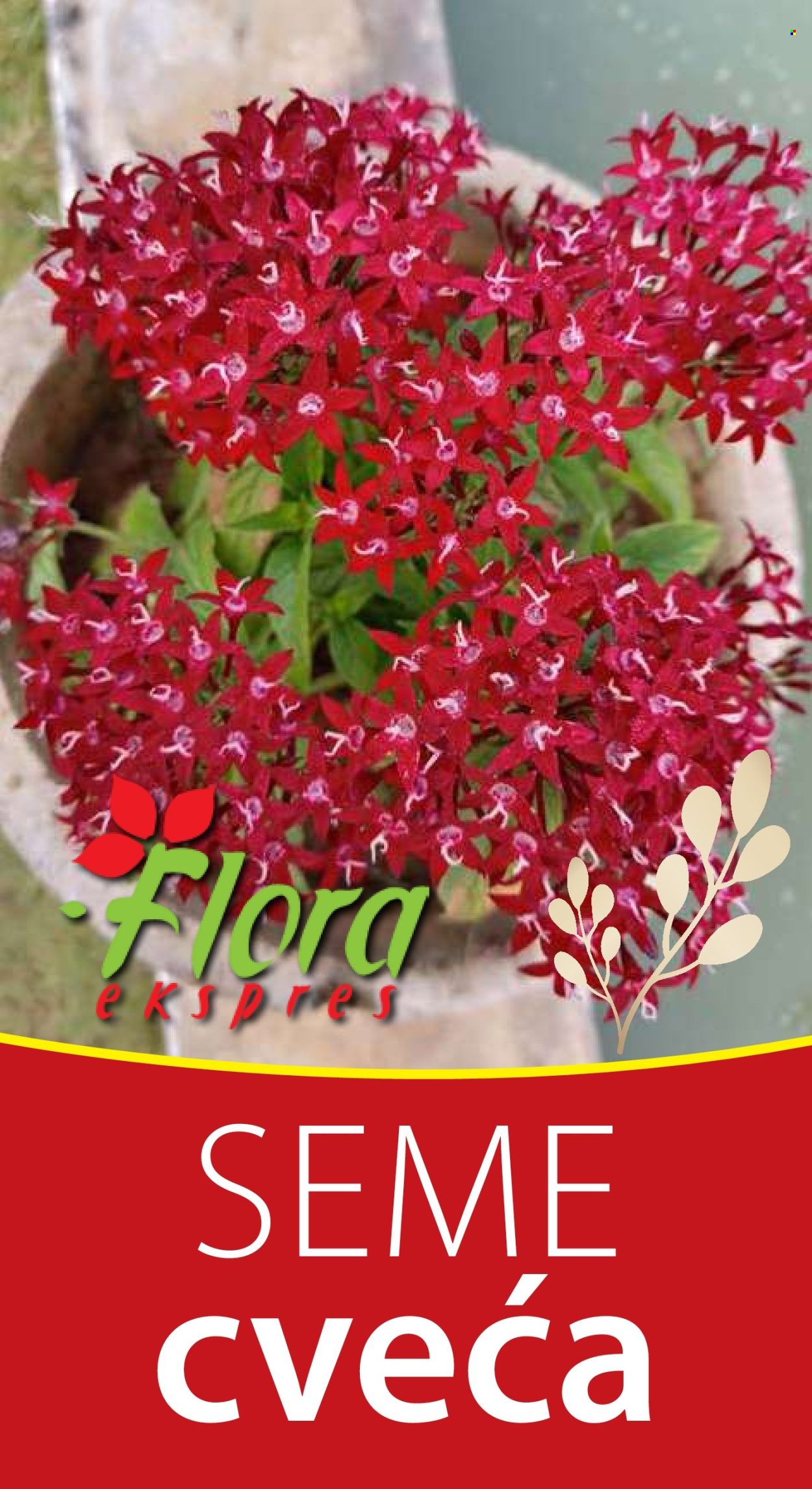Flora Ekspres katalog .