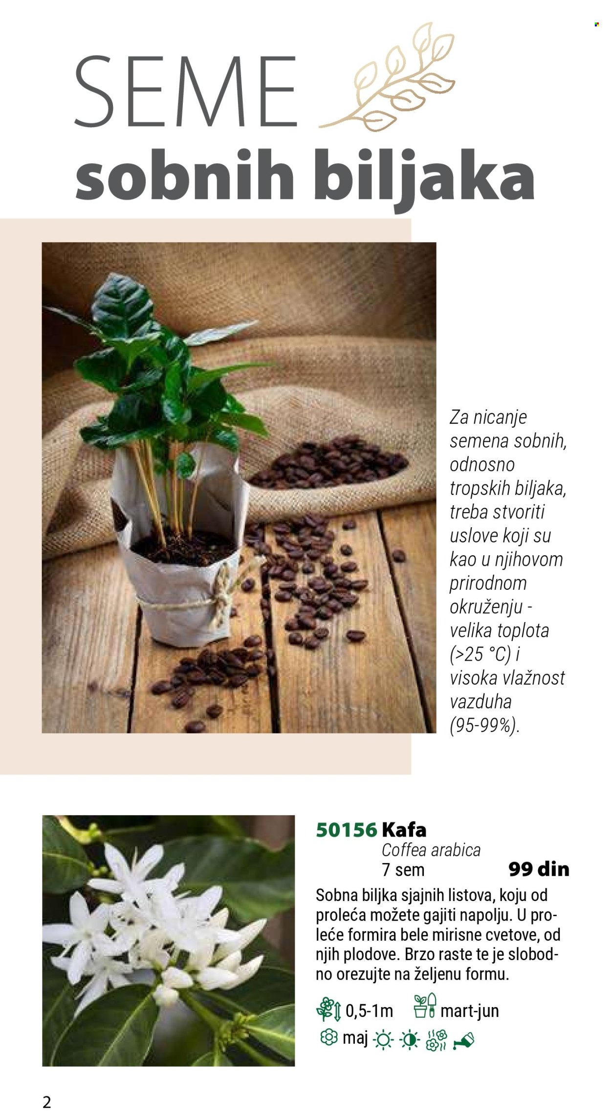 Flora Ekspres katalog .