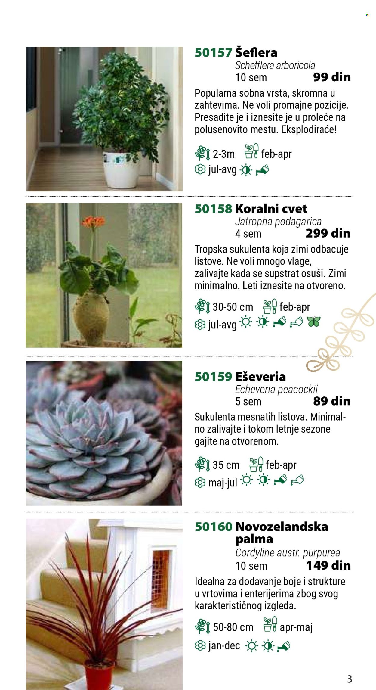 Flora Ekspres katalog .