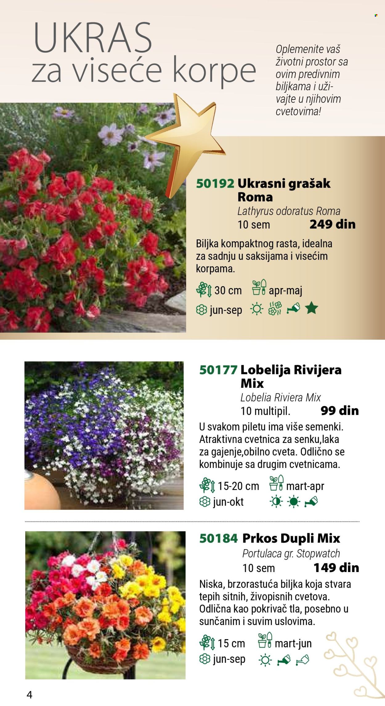 Flora Ekspres katalog .