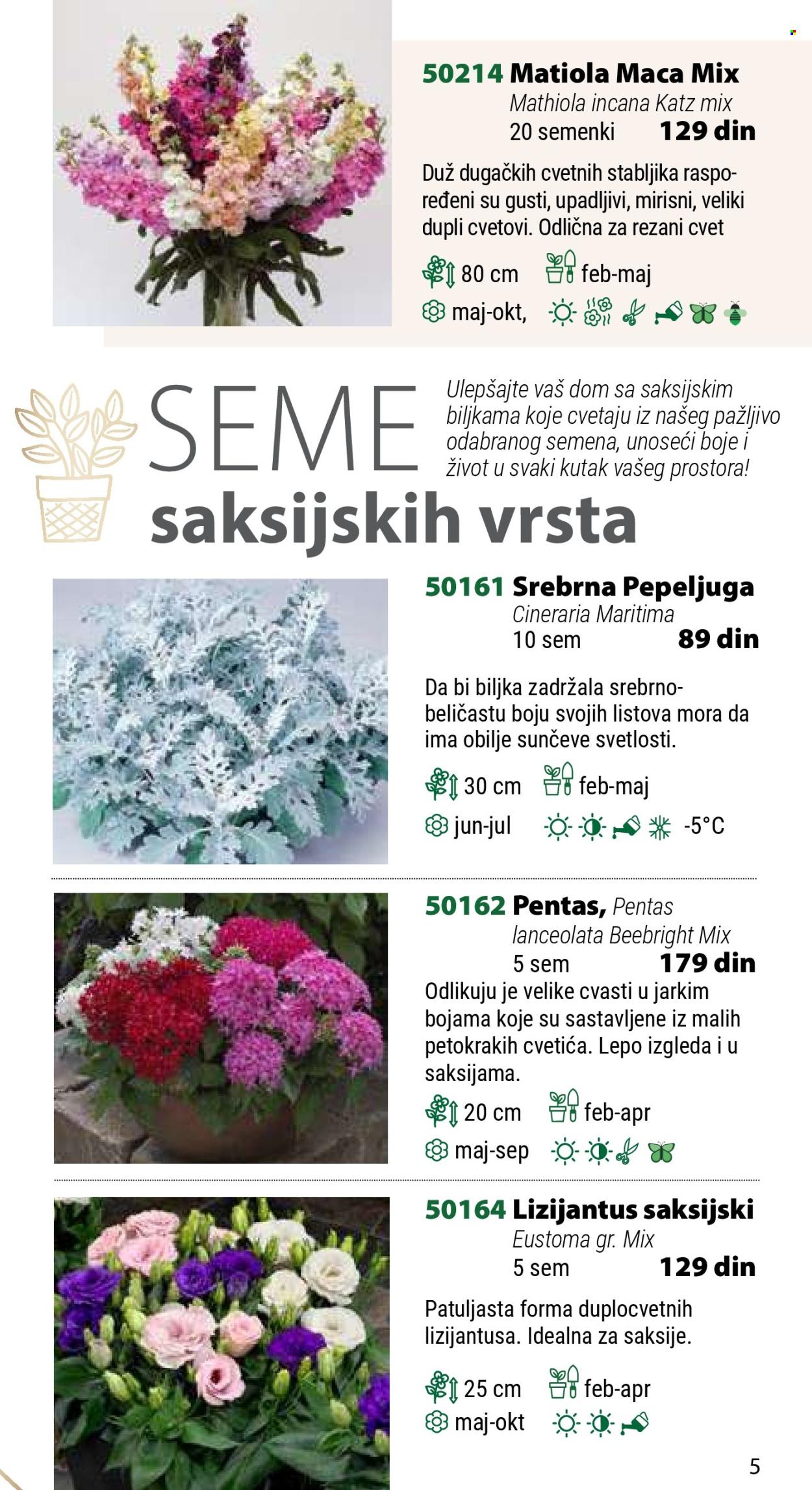 Flora Ekspres katalog .