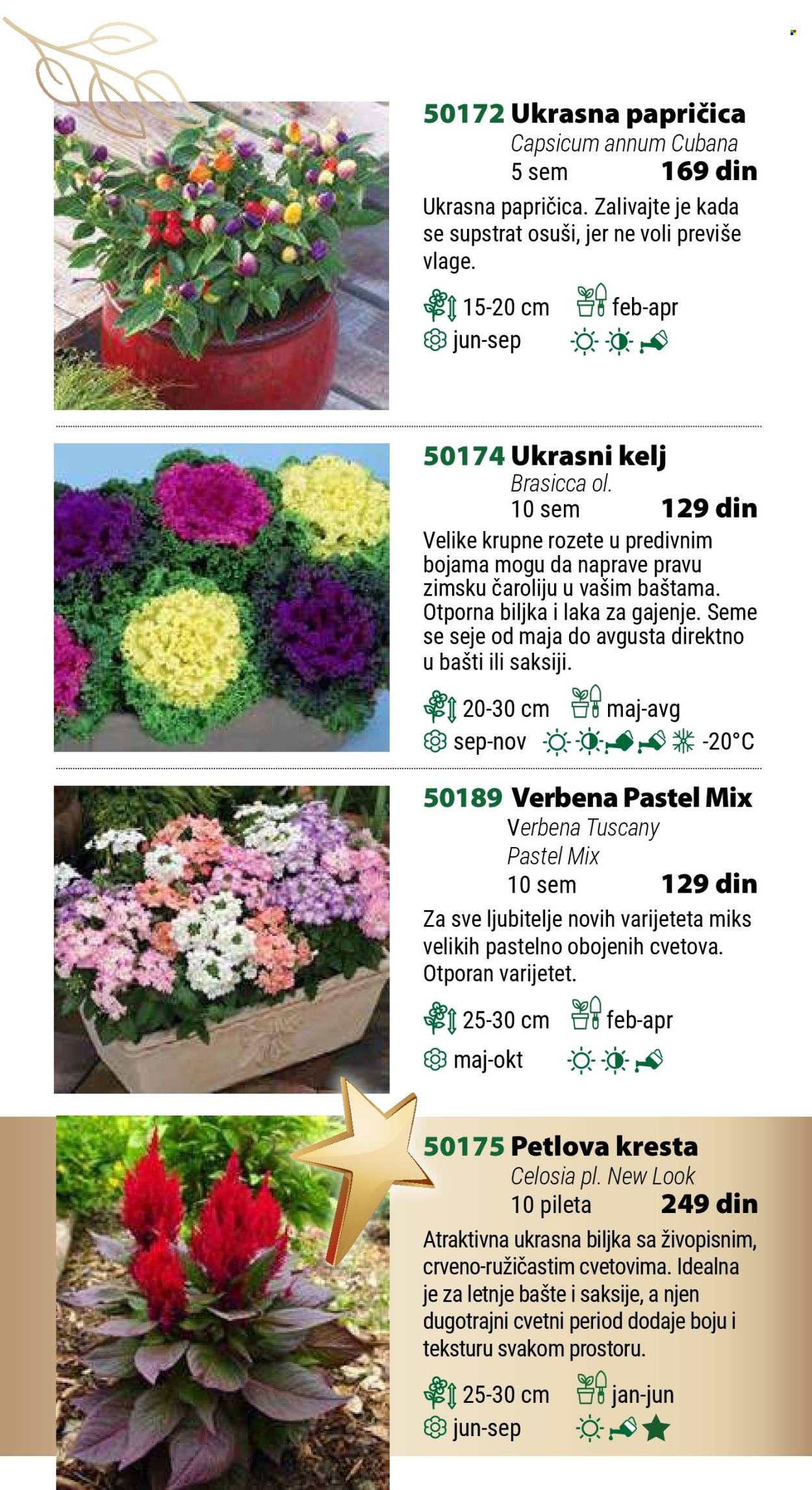 Flora Ekspres katalog .