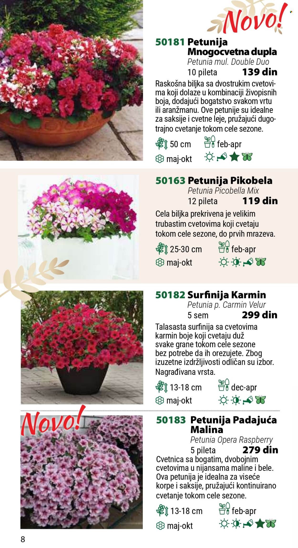 Flora Ekspres katalog .