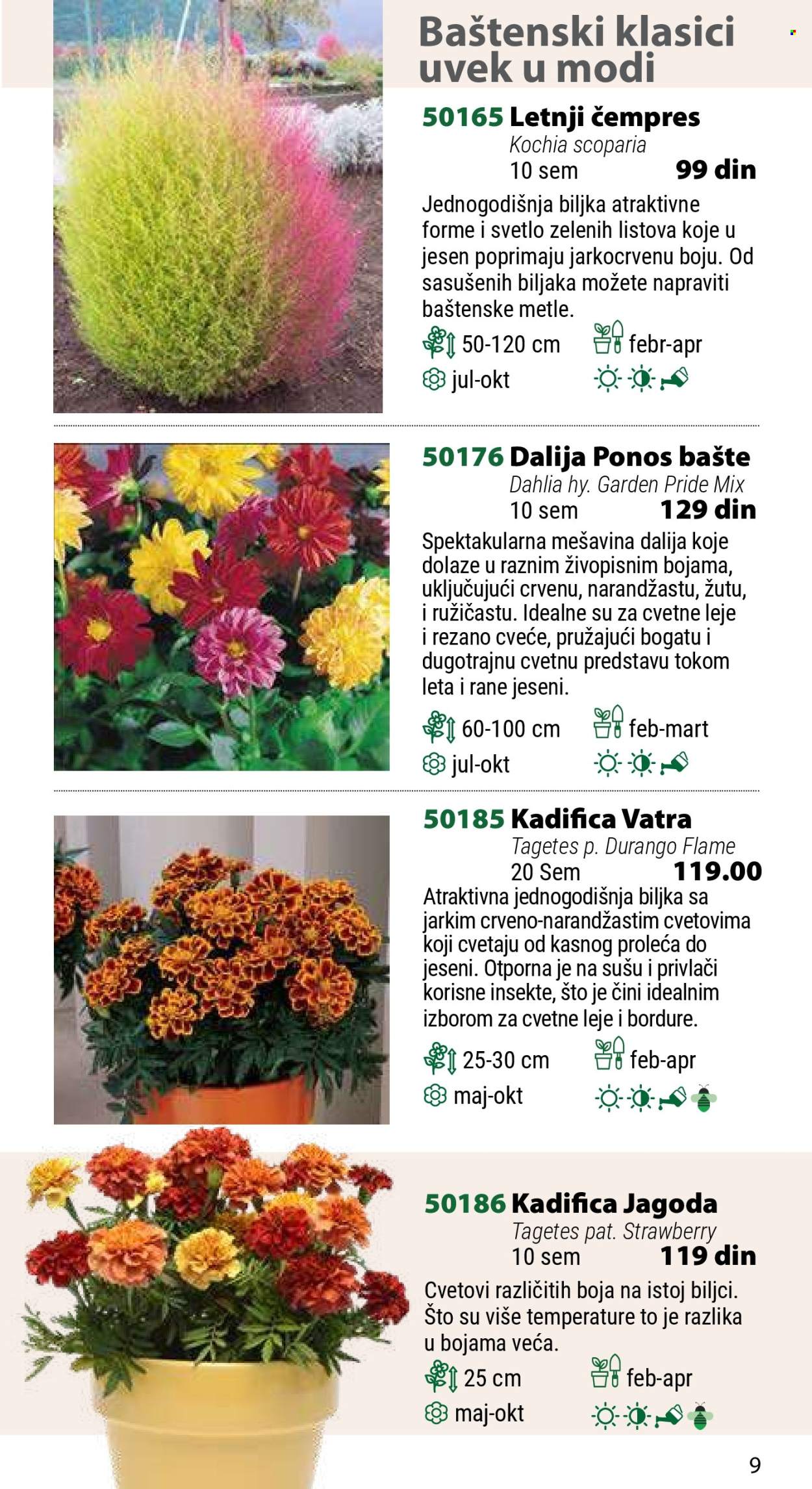 Flora Ekspres katalog .