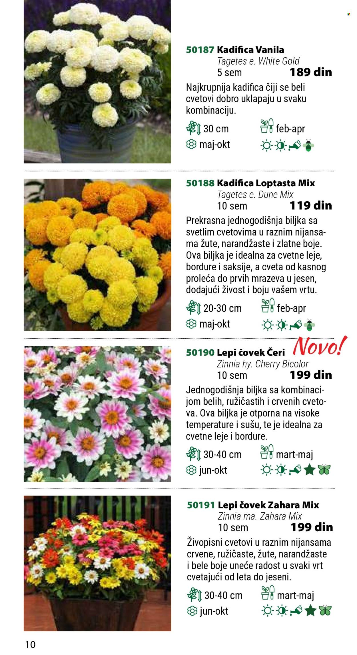 Flora Ekspres katalog .