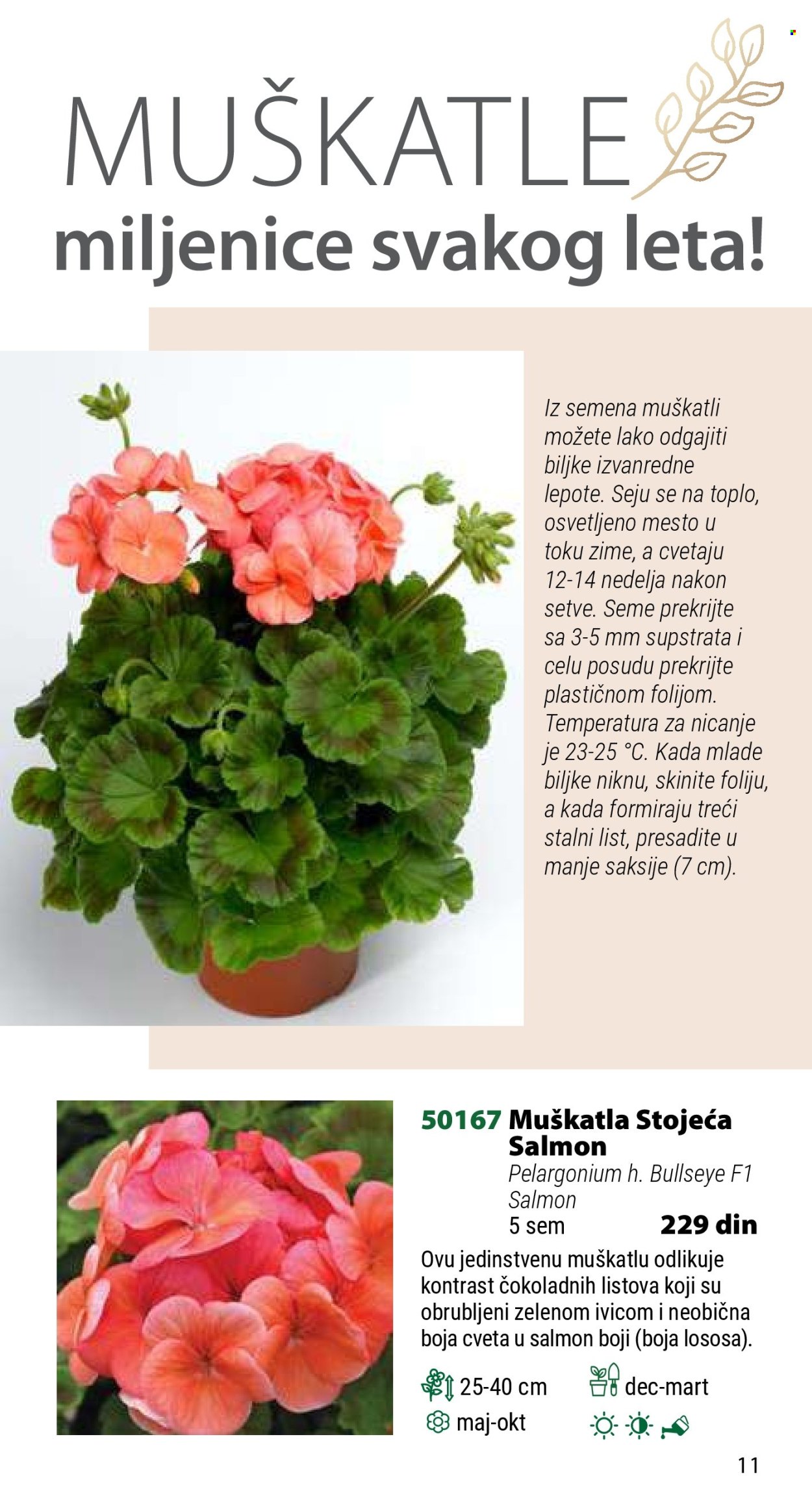 Flora Ekspres katalog .