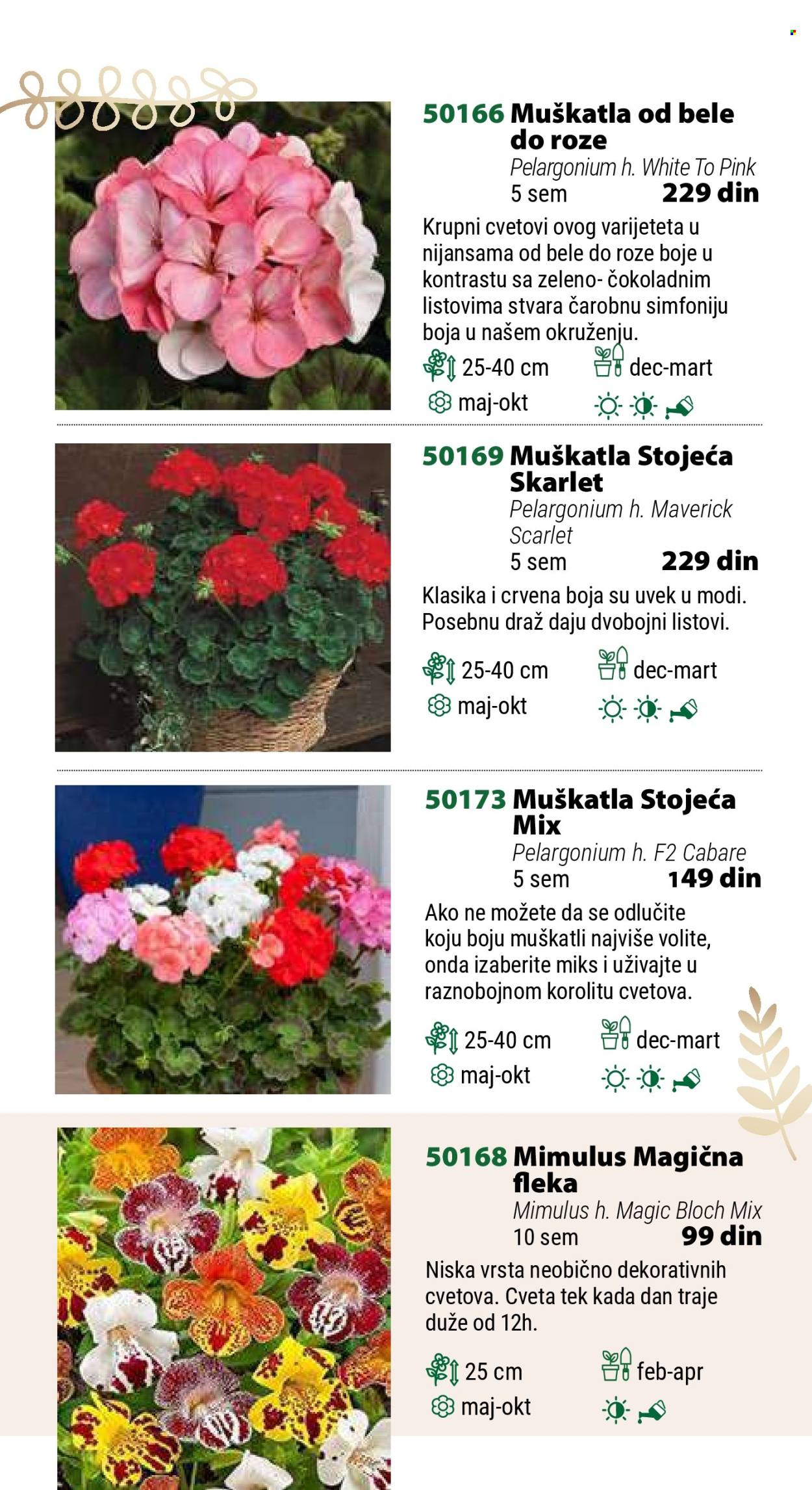 Flora Ekspres katalog .
