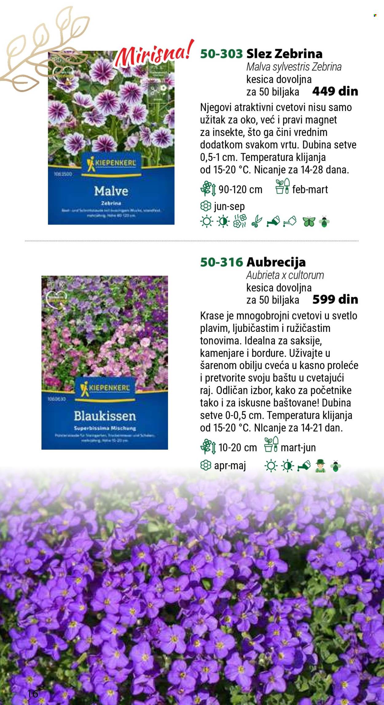 Flora Ekspres katalog .