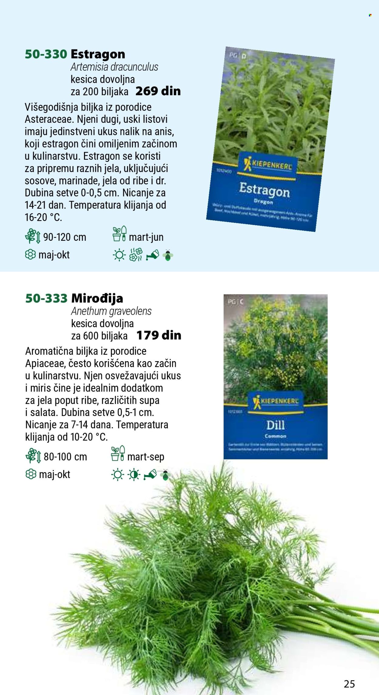 Flora Ekspres katalog .
