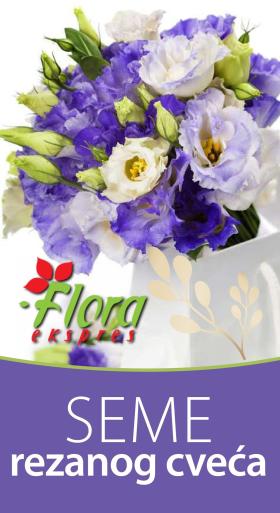 Flora Ekspres