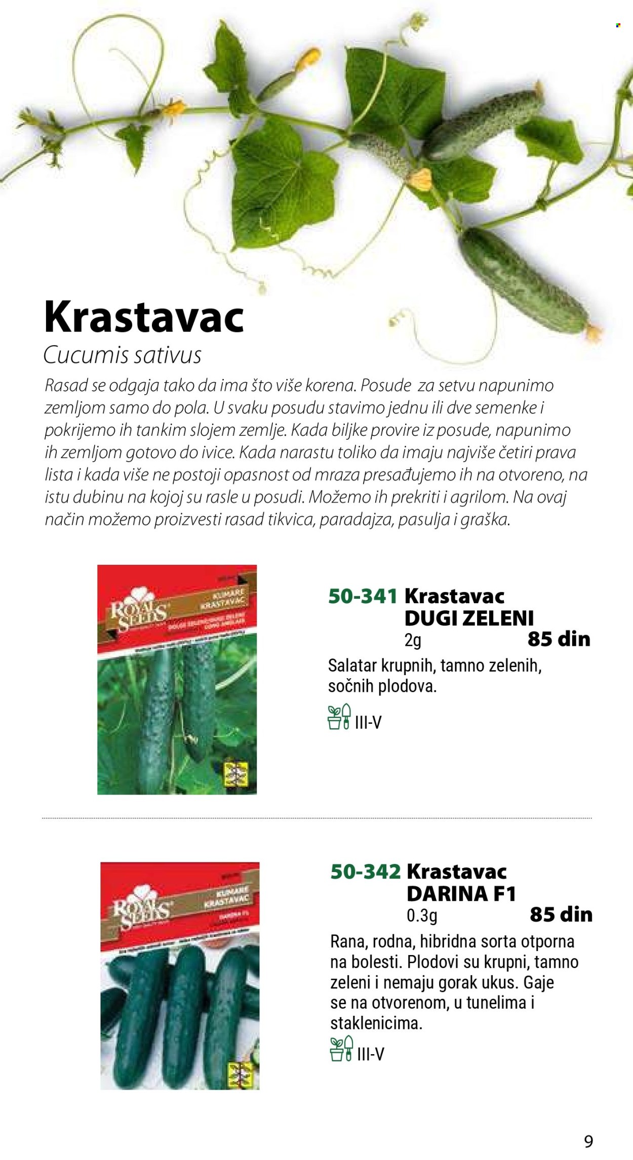 Flora Ekspres katalog .