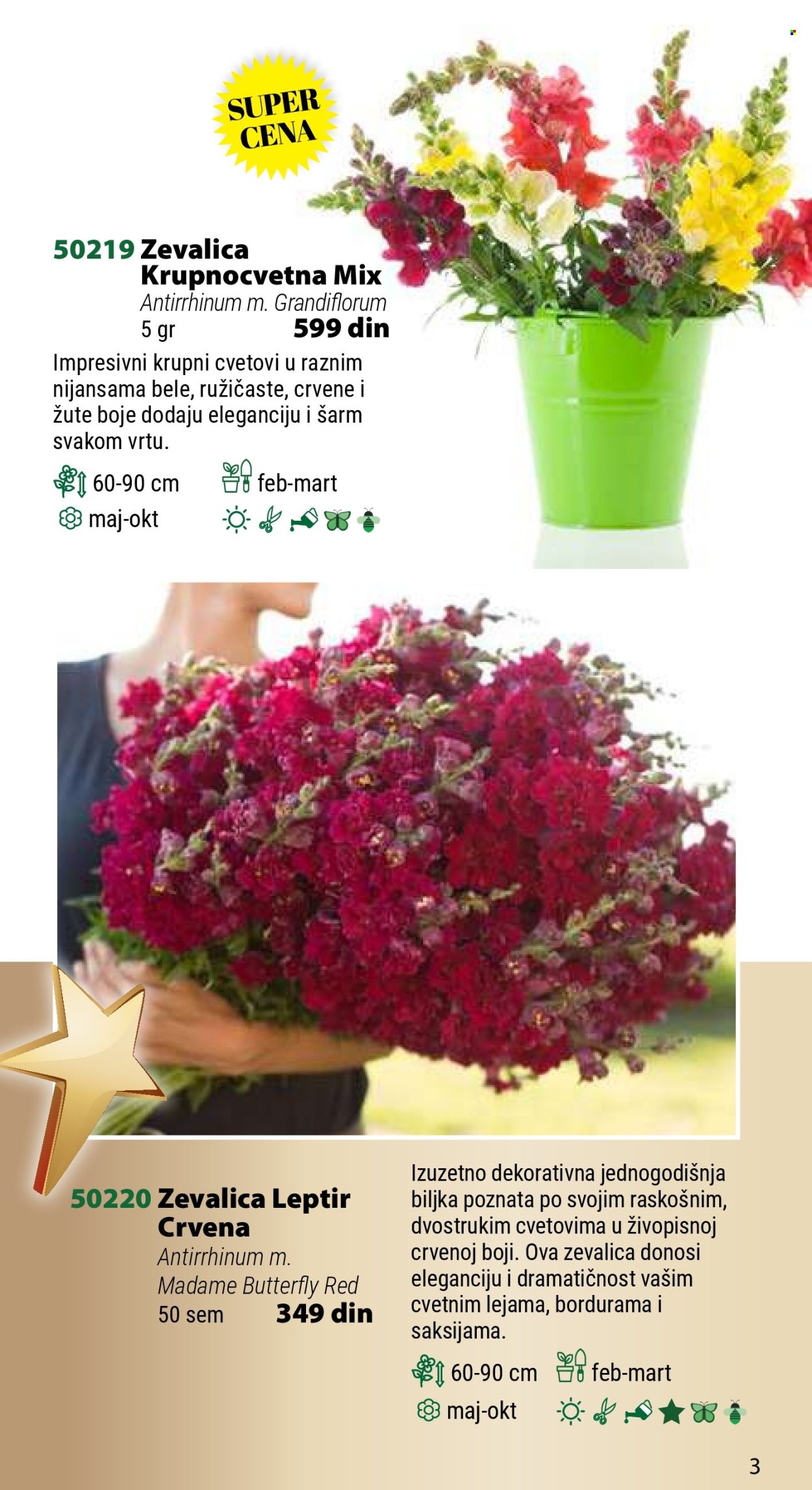 Flora Ekspres katalog .