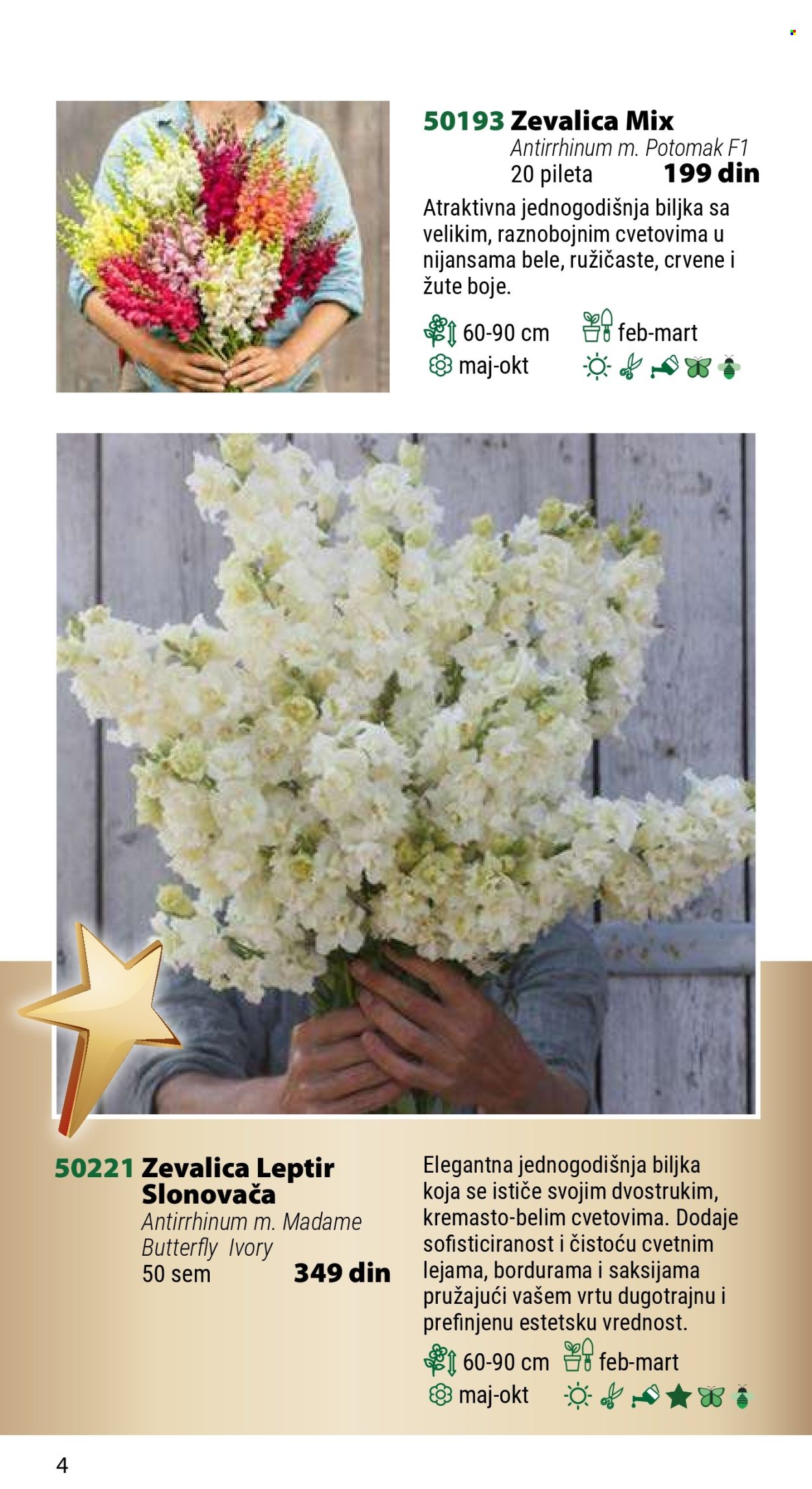 Flora Ekspres katalog .