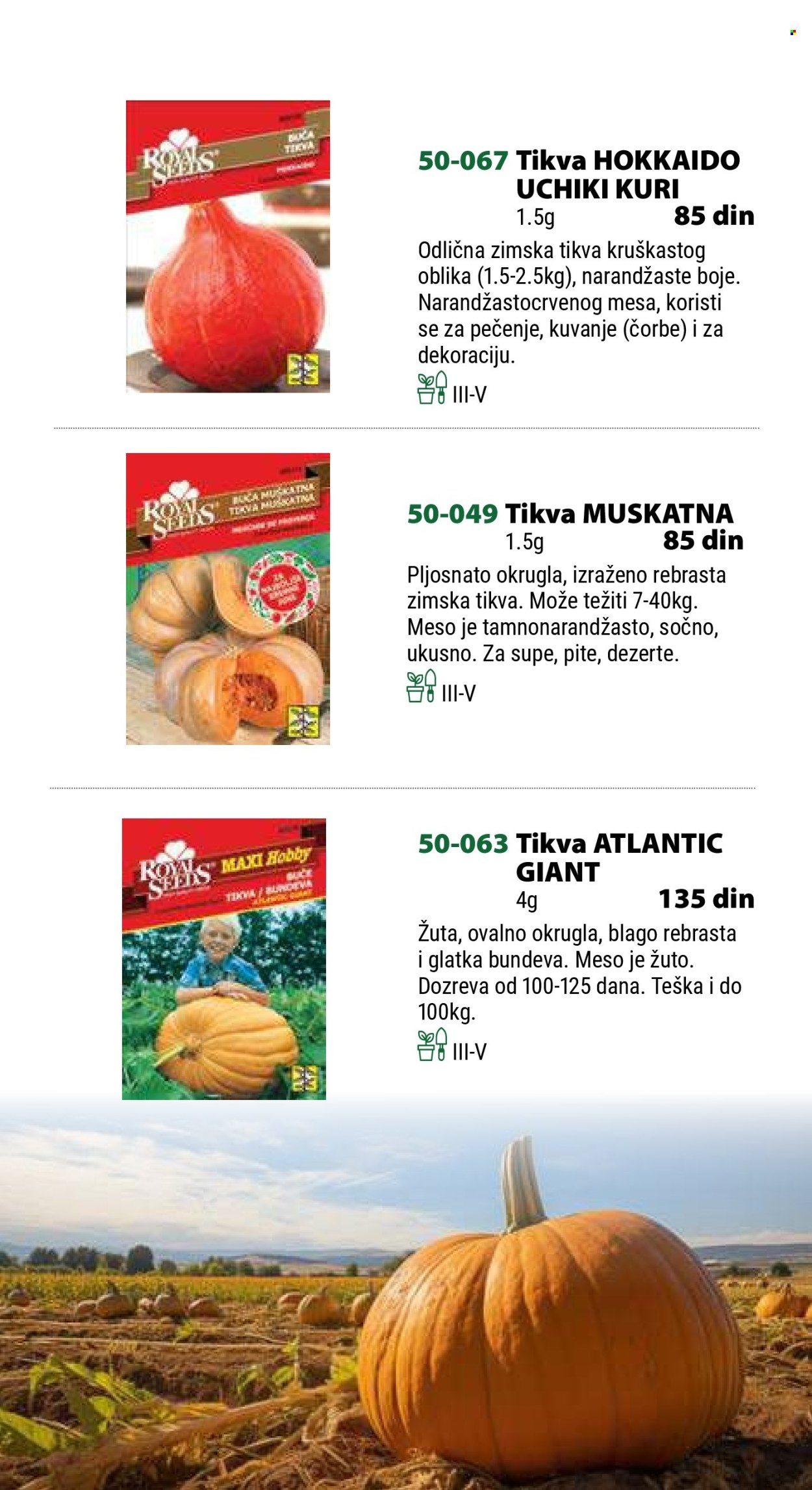 Flora Ekspres katalog .