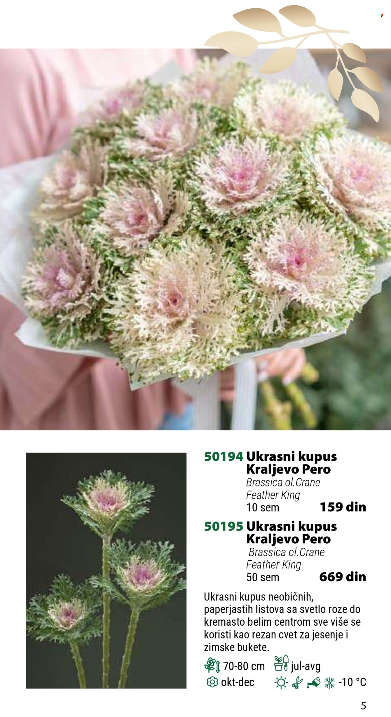 Flora Ekspres katalog .