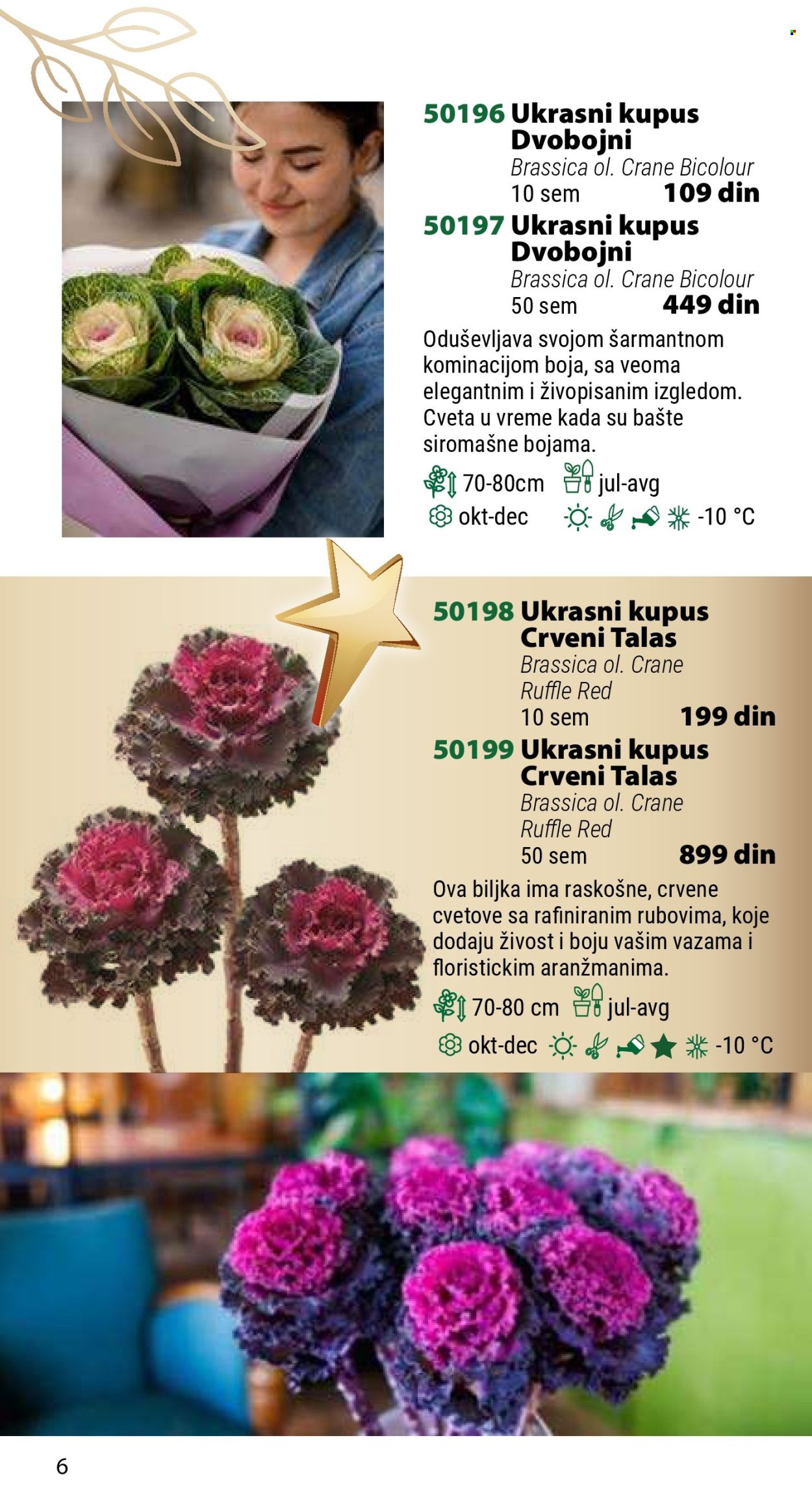 Flora Ekspres katalog .