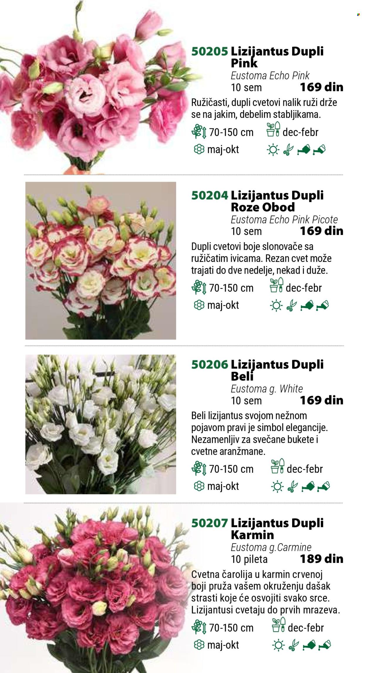 Flora Ekspres katalog .