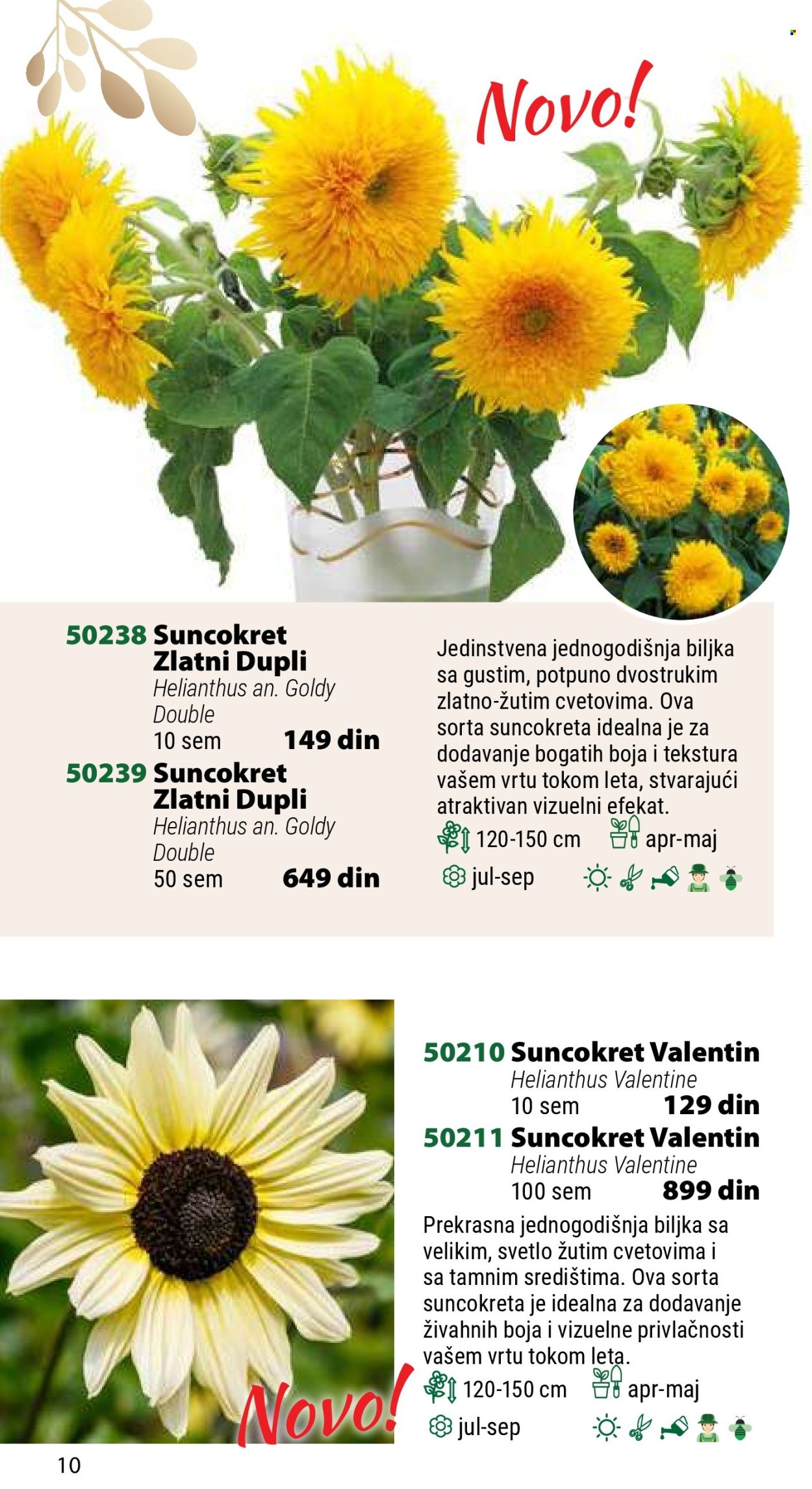 Flora Ekspres katalog .