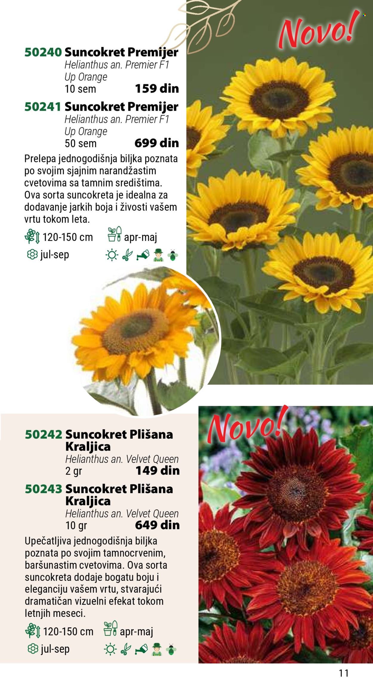 Flora Ekspres katalog .