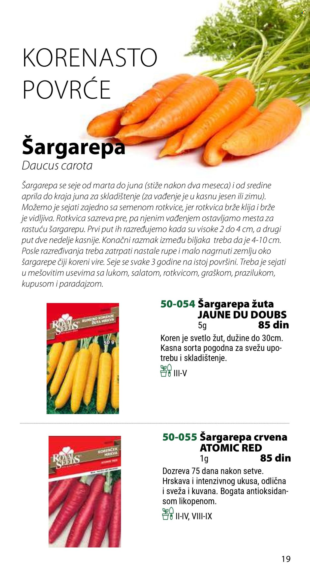 Flora Ekspres katalog .