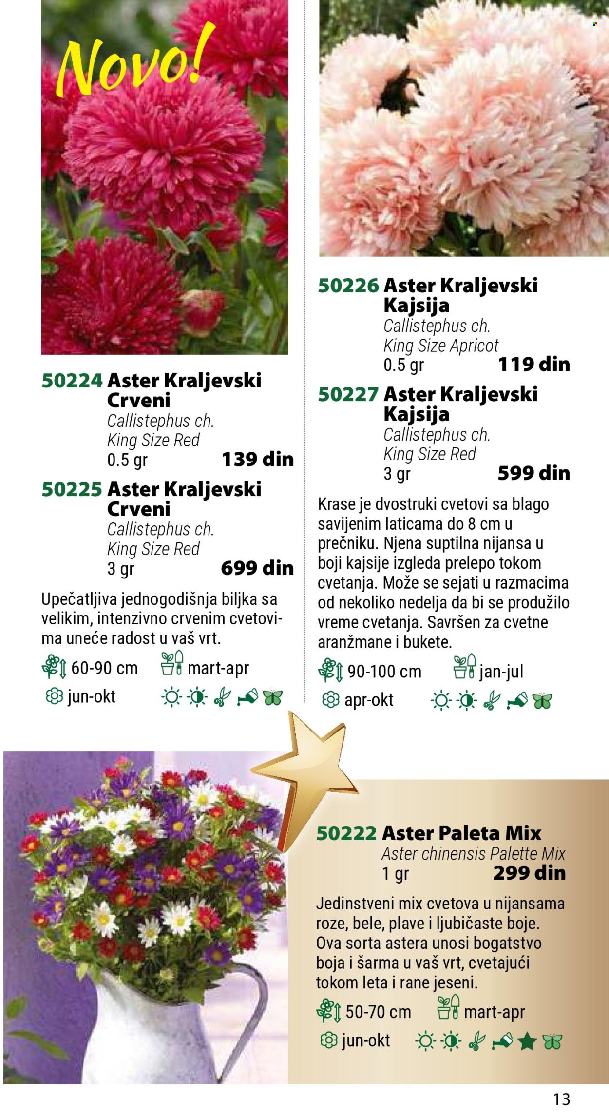 Flora Ekspres katalog .