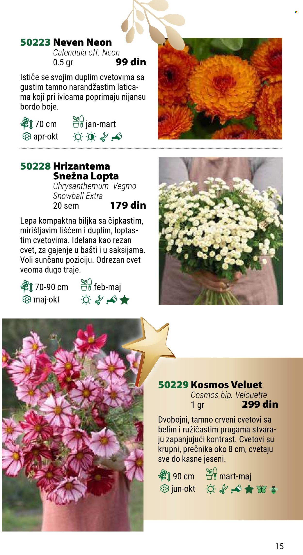 Flora Ekspres katalog .