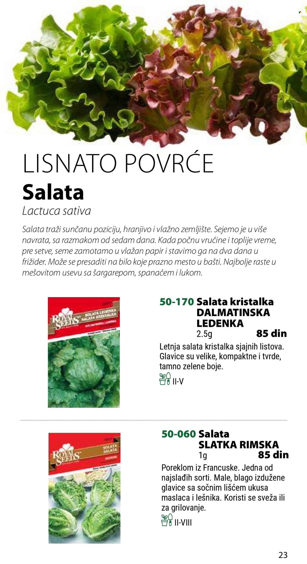 Flora Ekspres katalog .