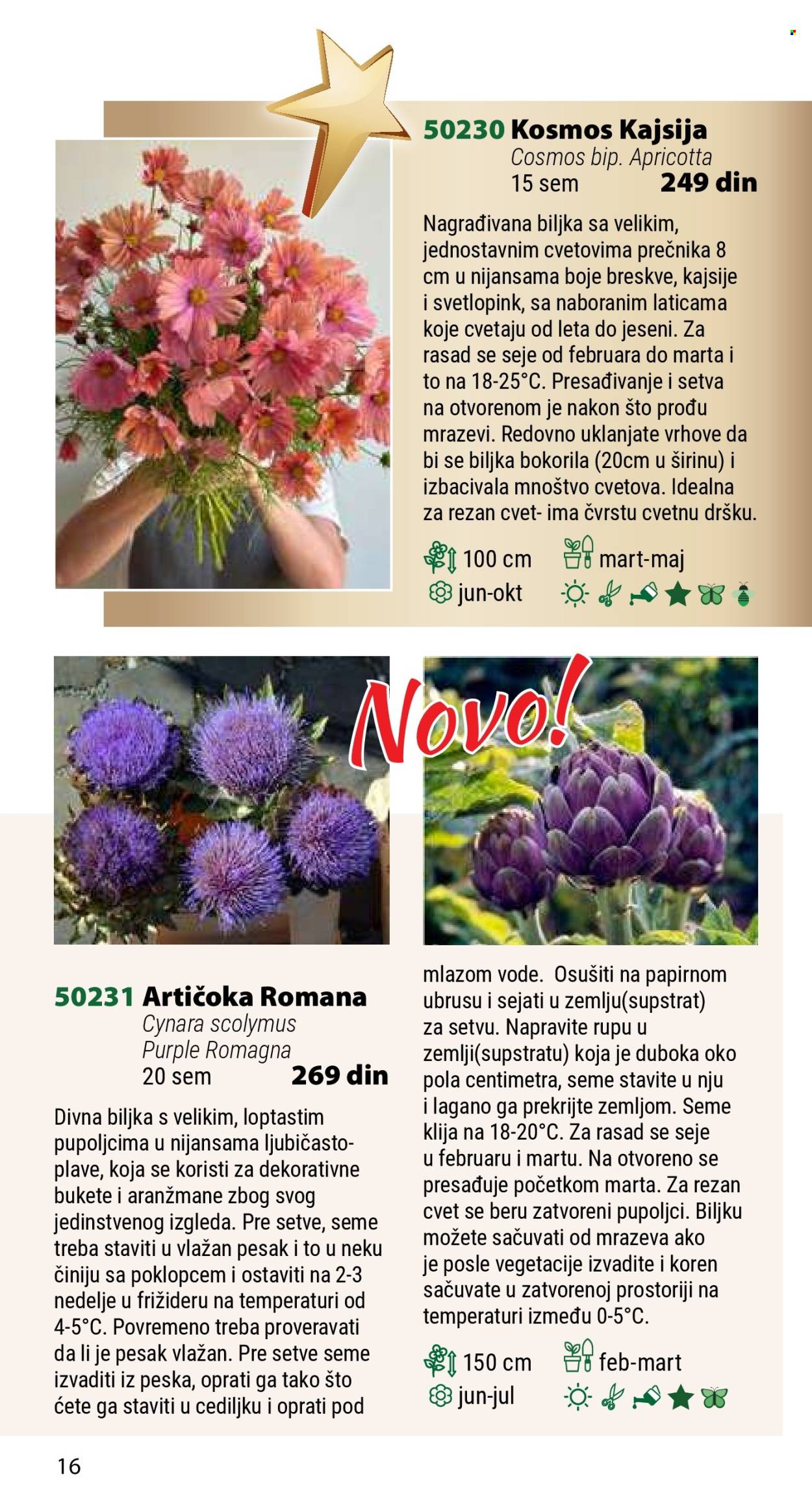 Flora Ekspres katalog .