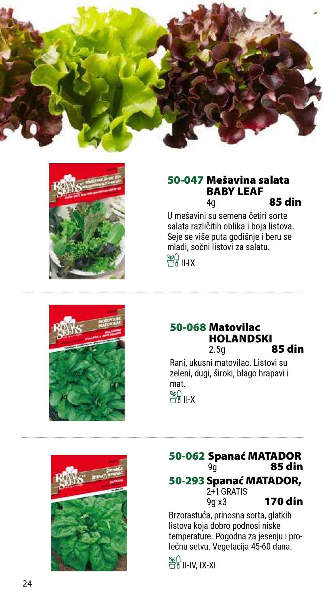 Flora Ekspres katalog .