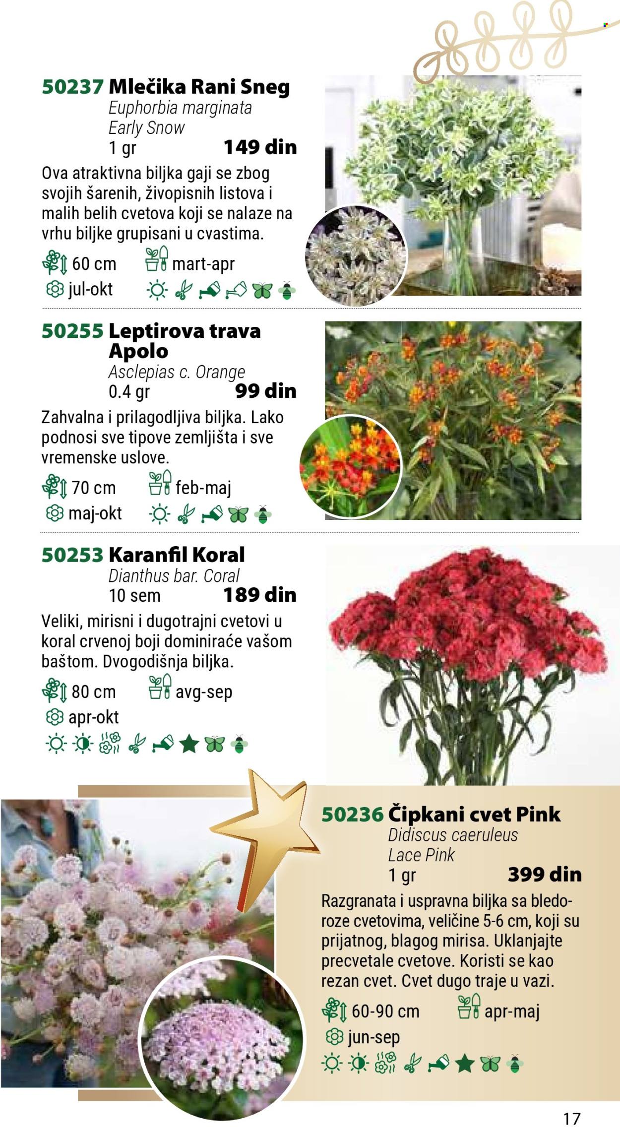 Flora Ekspres katalog .