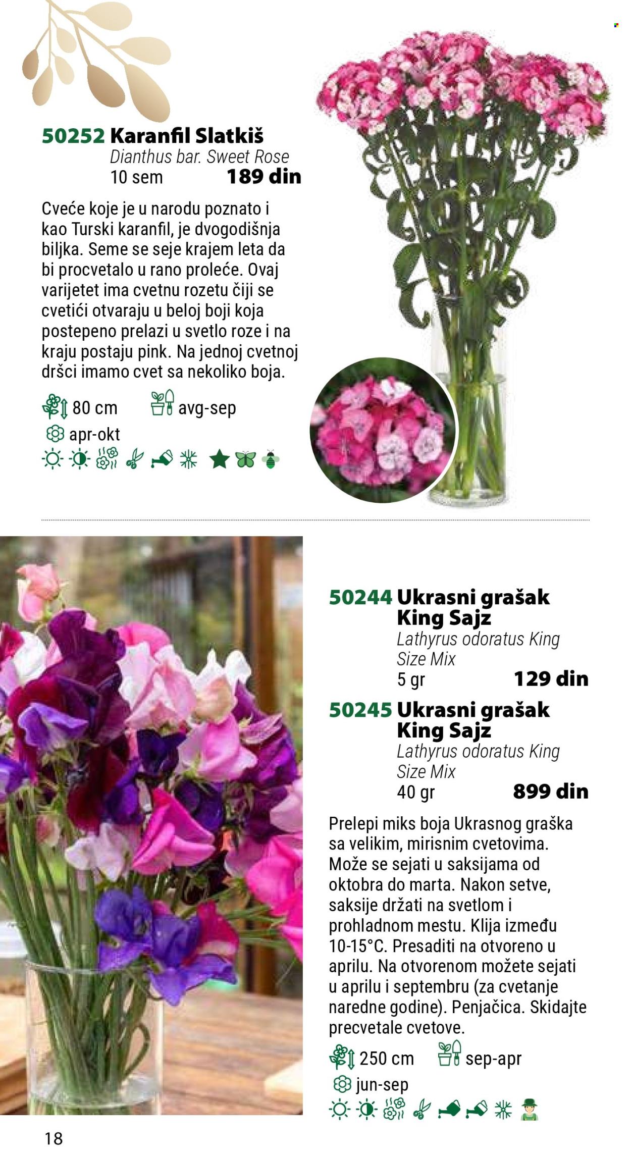Flora Ekspres katalog .