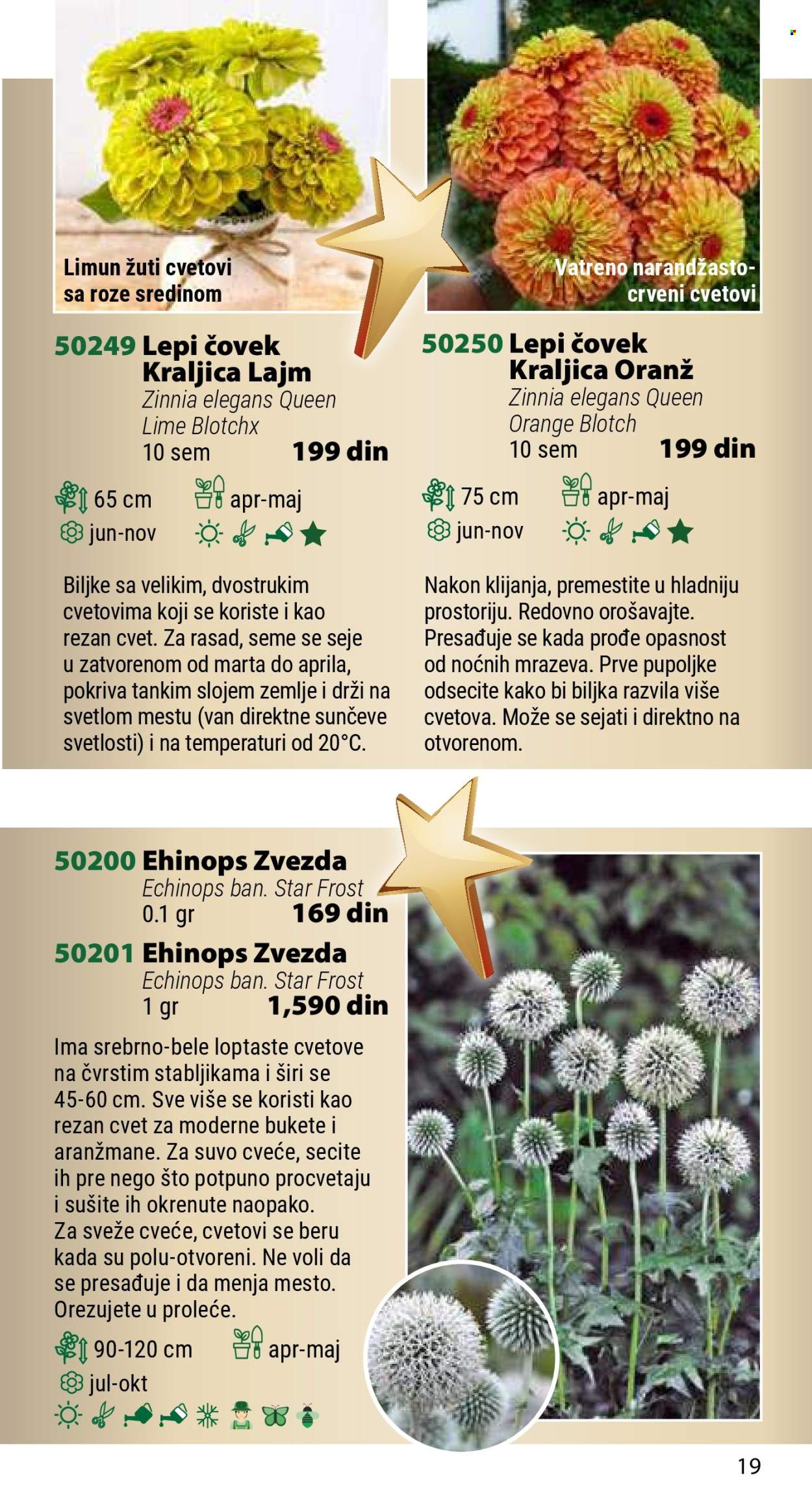 Flora Ekspres katalog .
