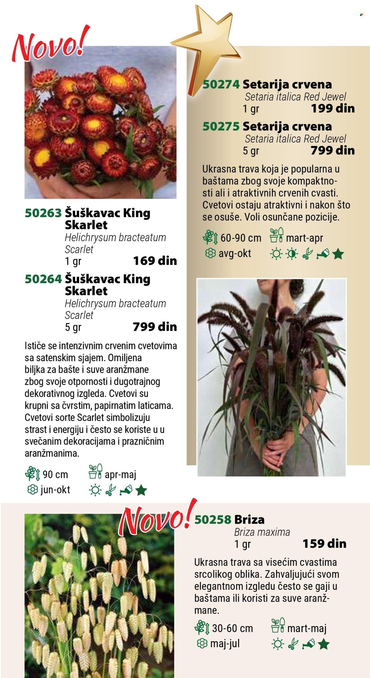 Flora Ekspres katalog .