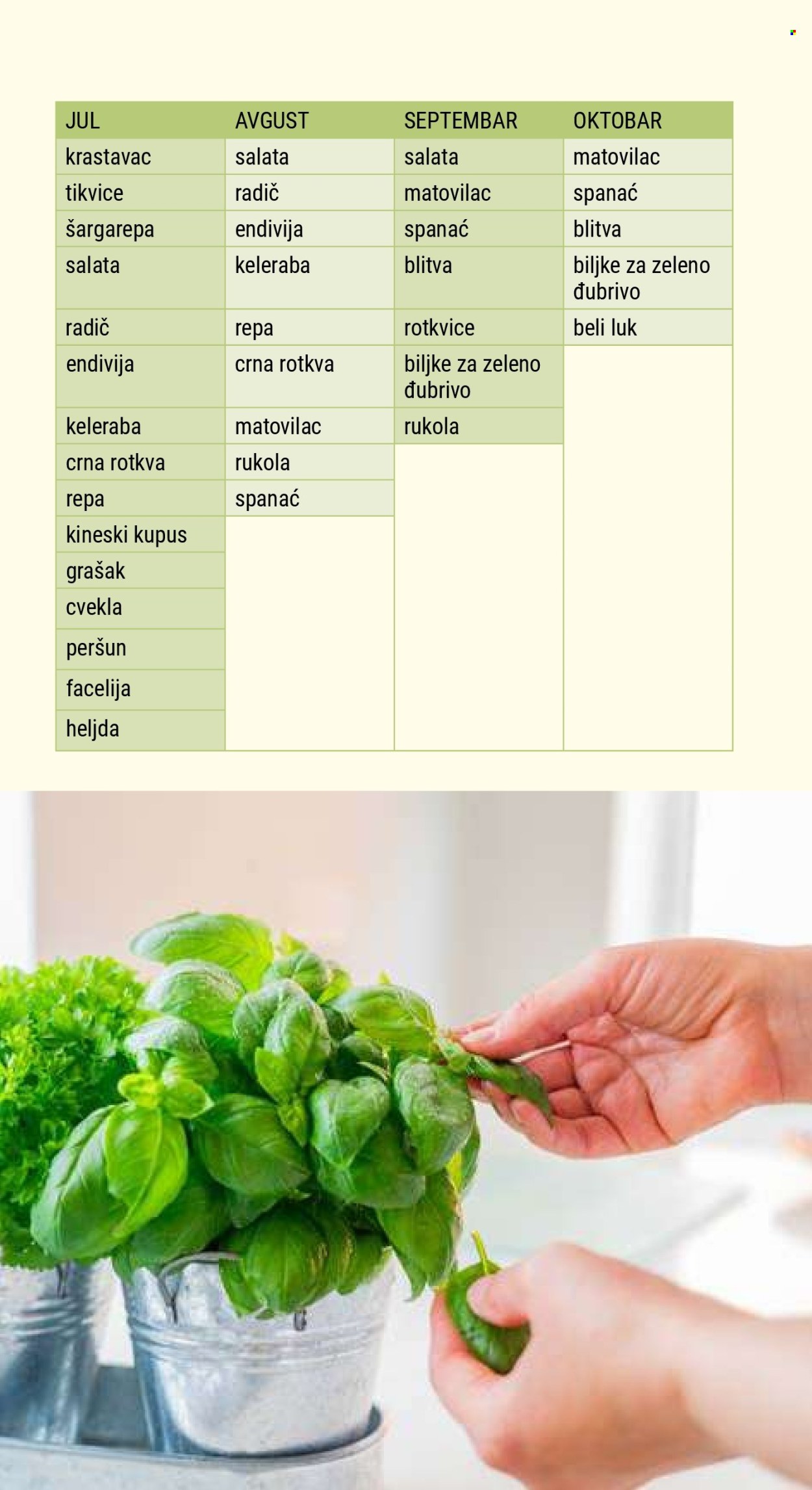 Flora Ekspres katalog .