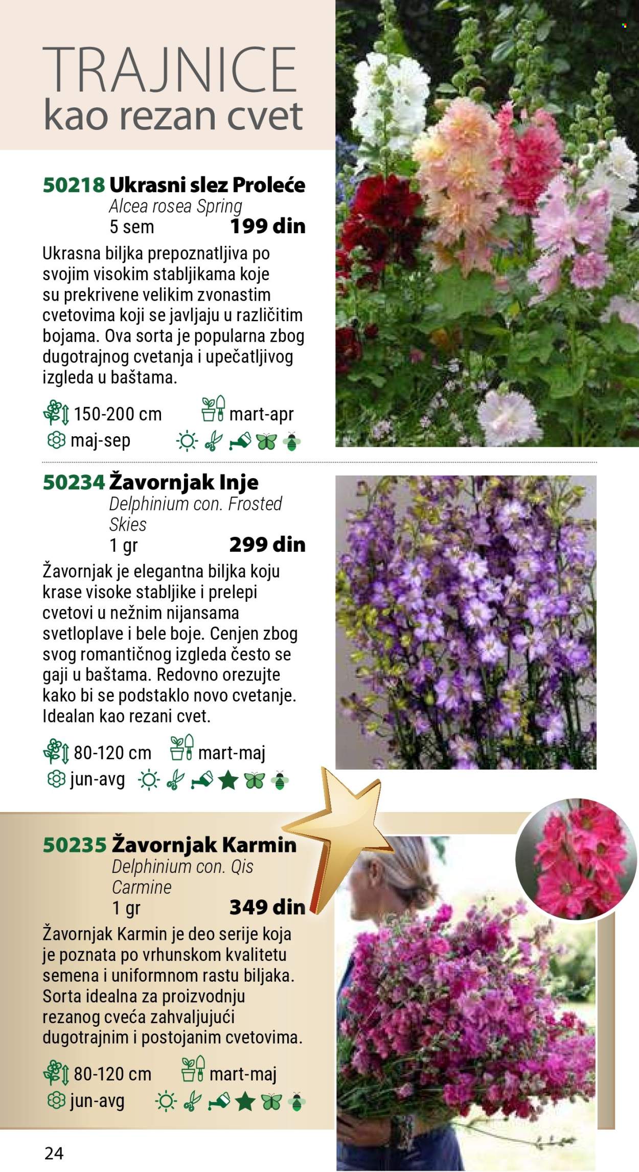 Flora Ekspres katalog .