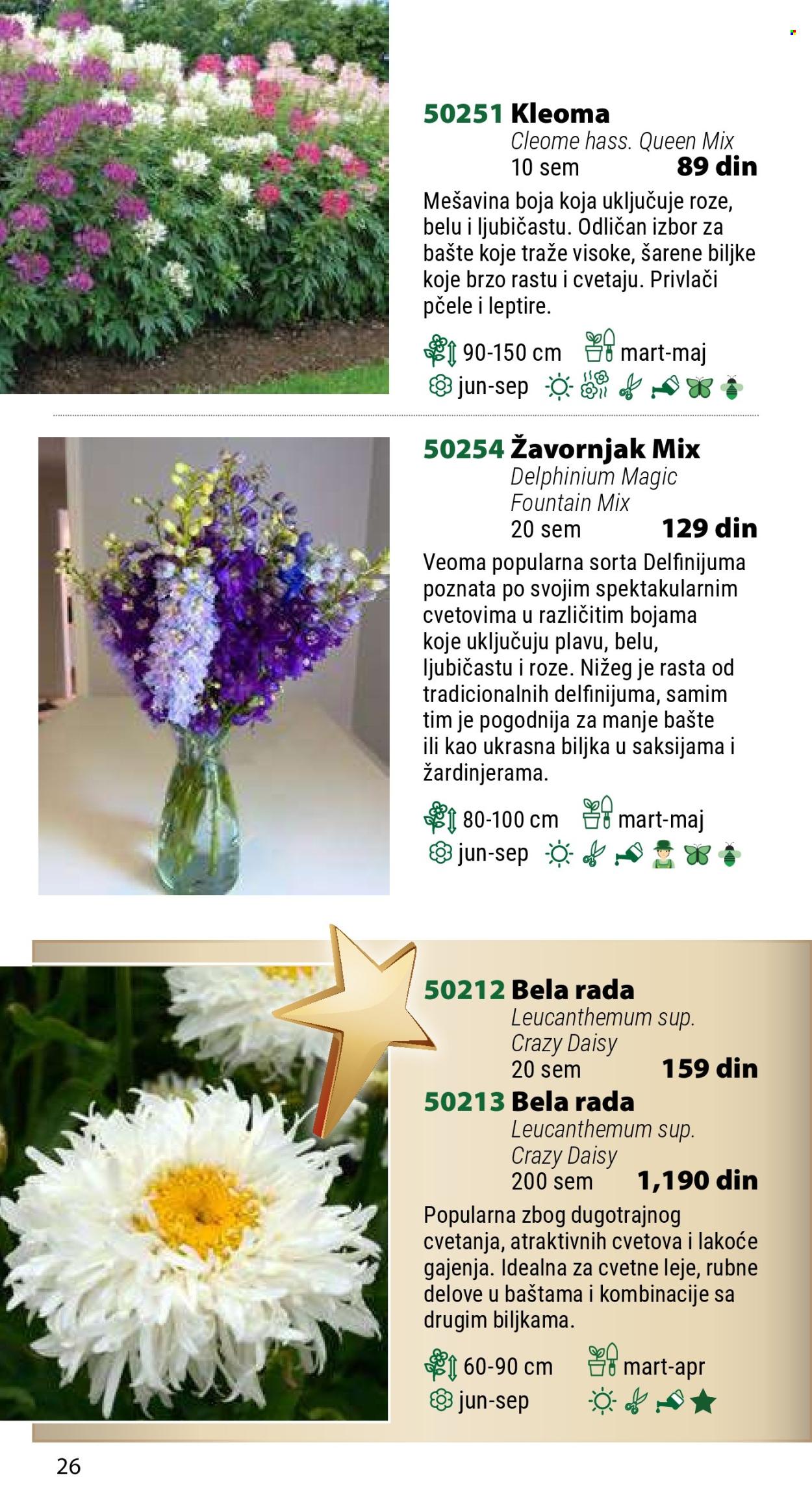 Flora Ekspres katalog .
