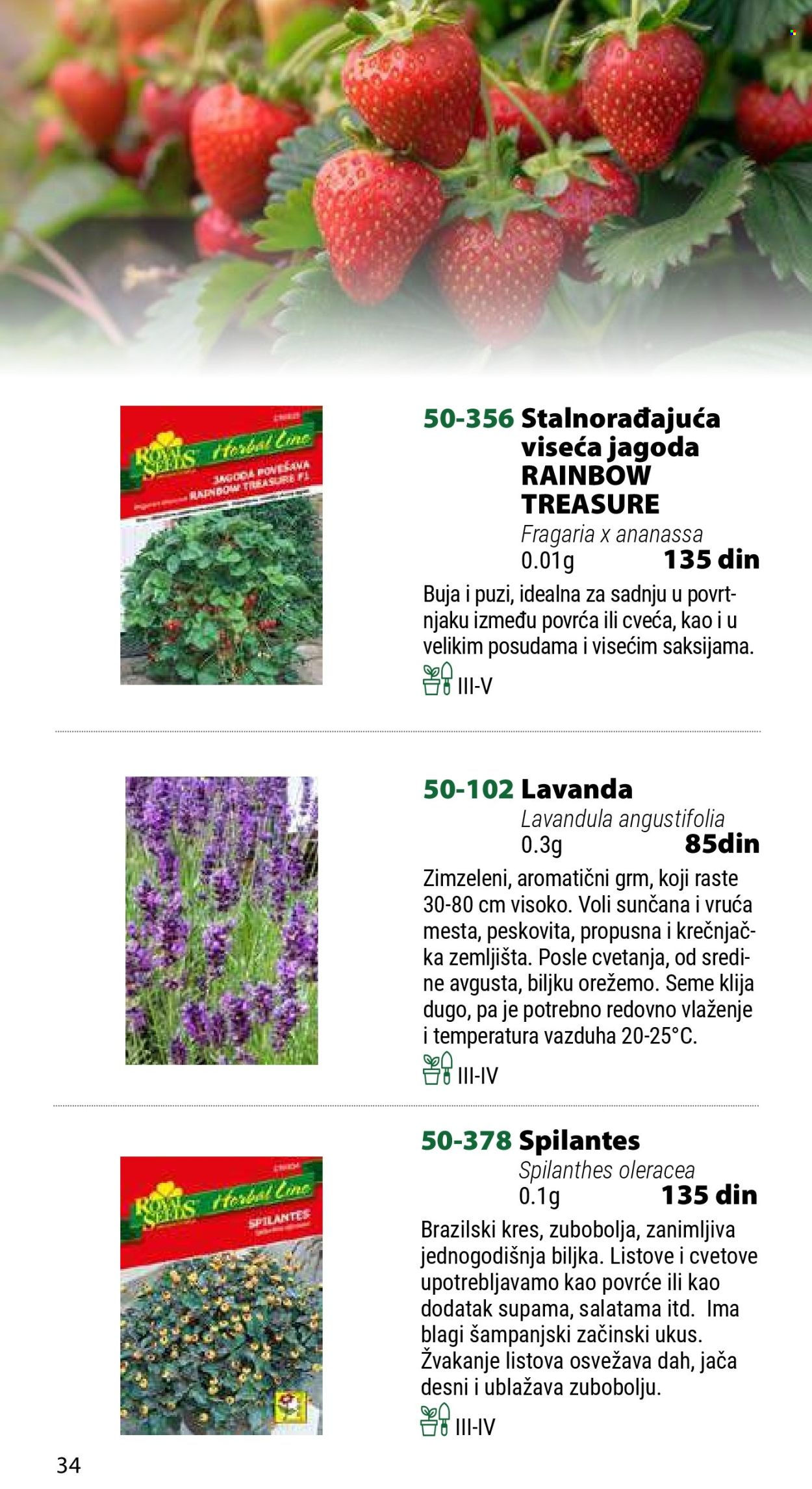 Flora Ekspres katalog .