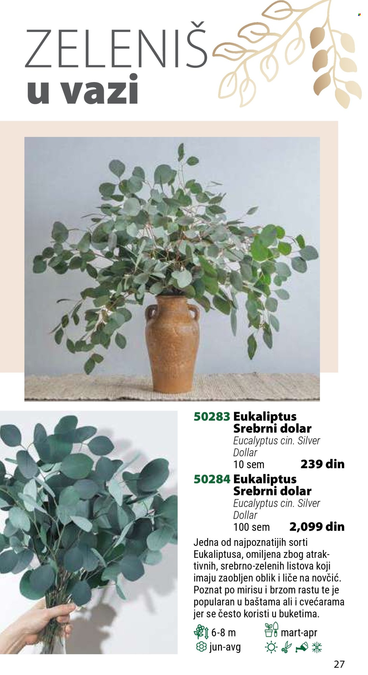 Flora Ekspres katalog .