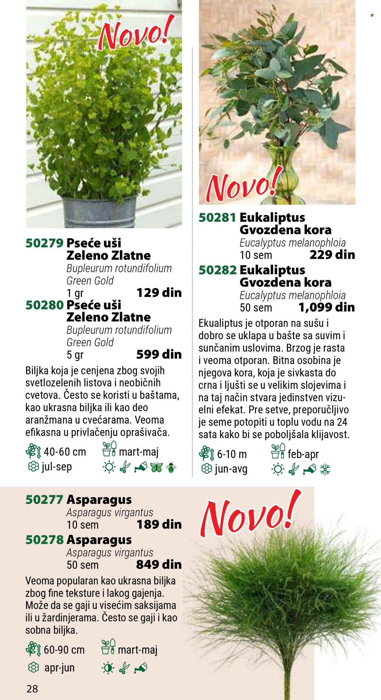 Flora Ekspres katalog .