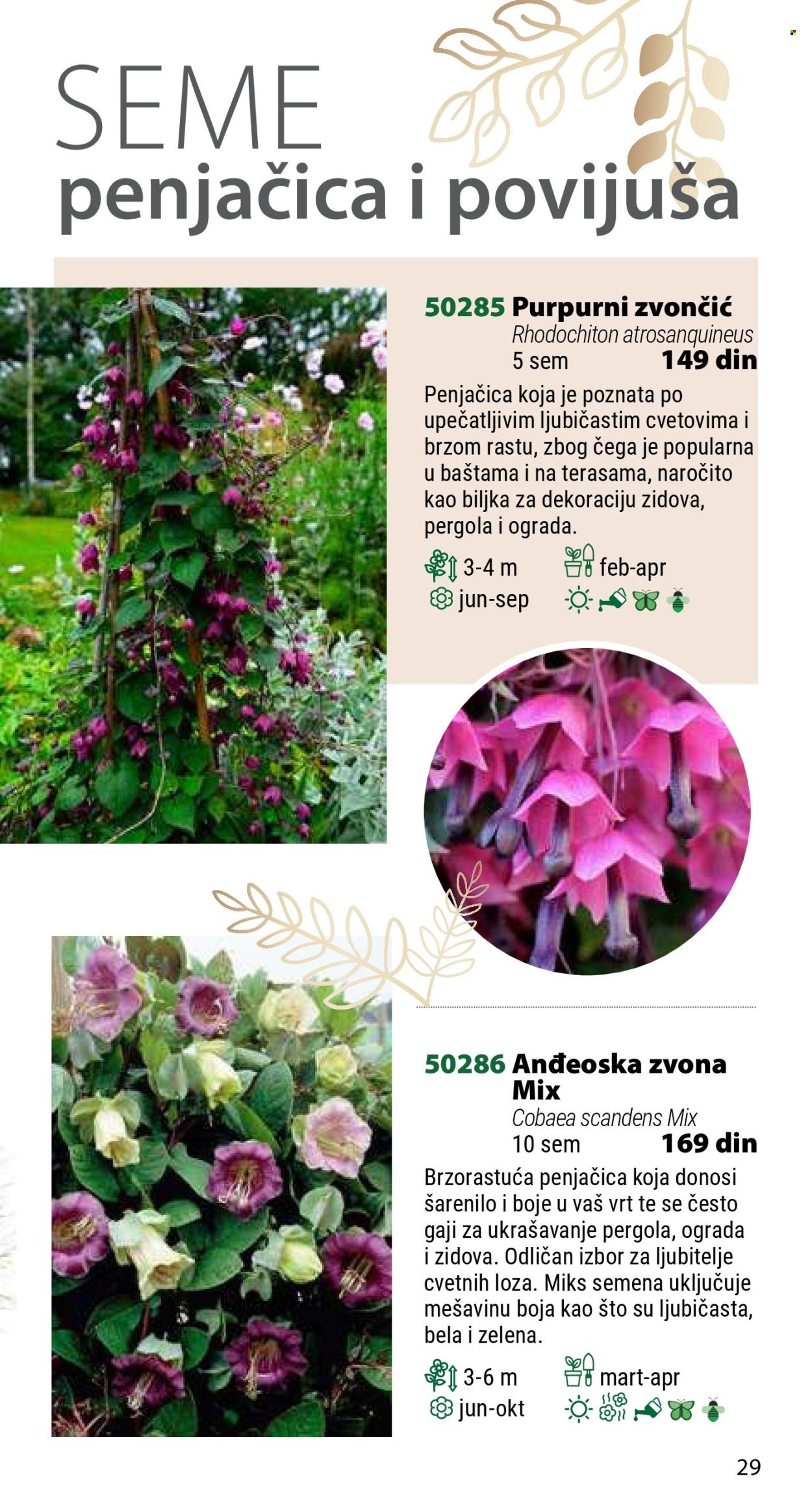 Flora Ekspres katalog .