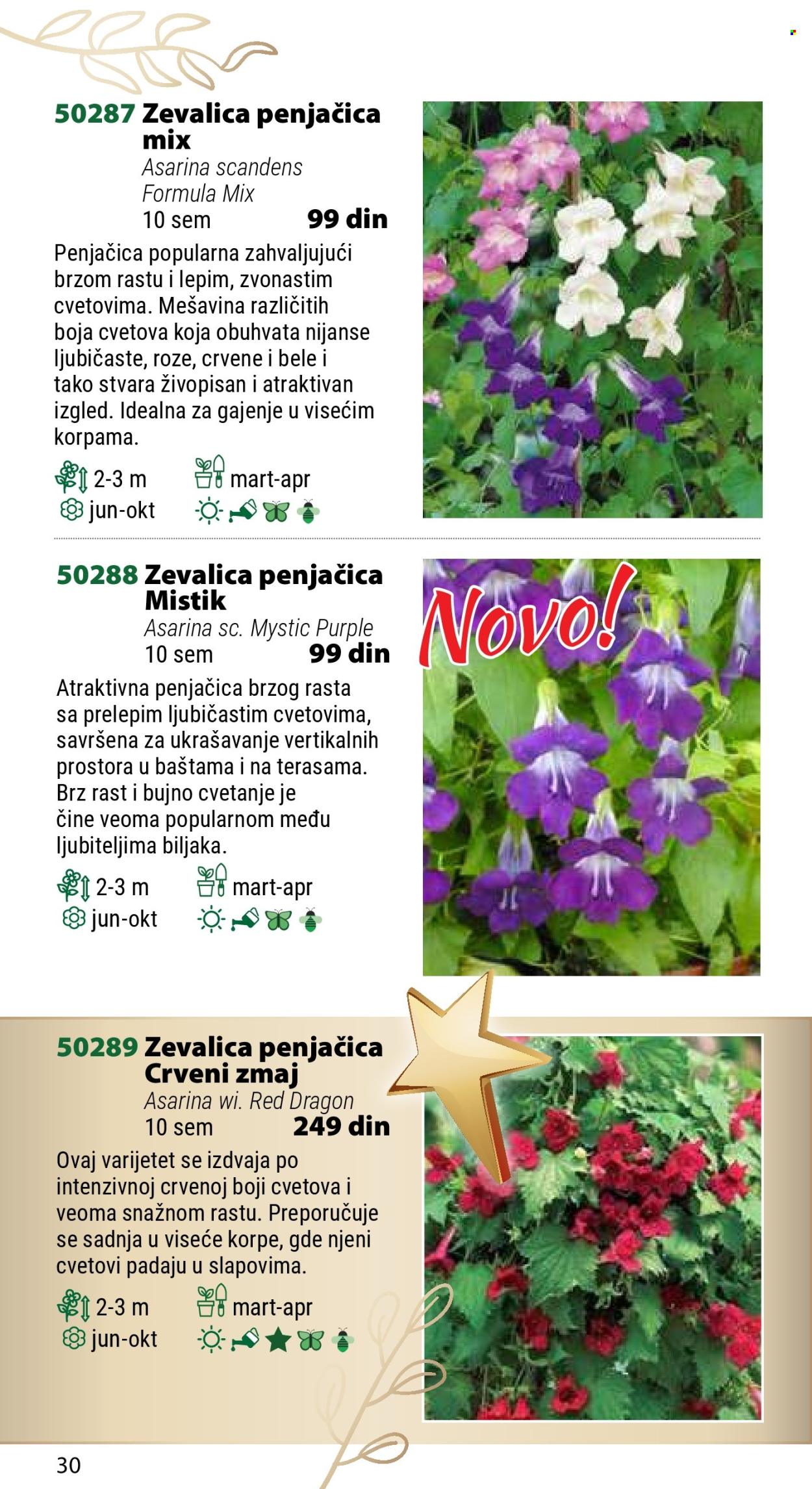 Flora Ekspres katalog .