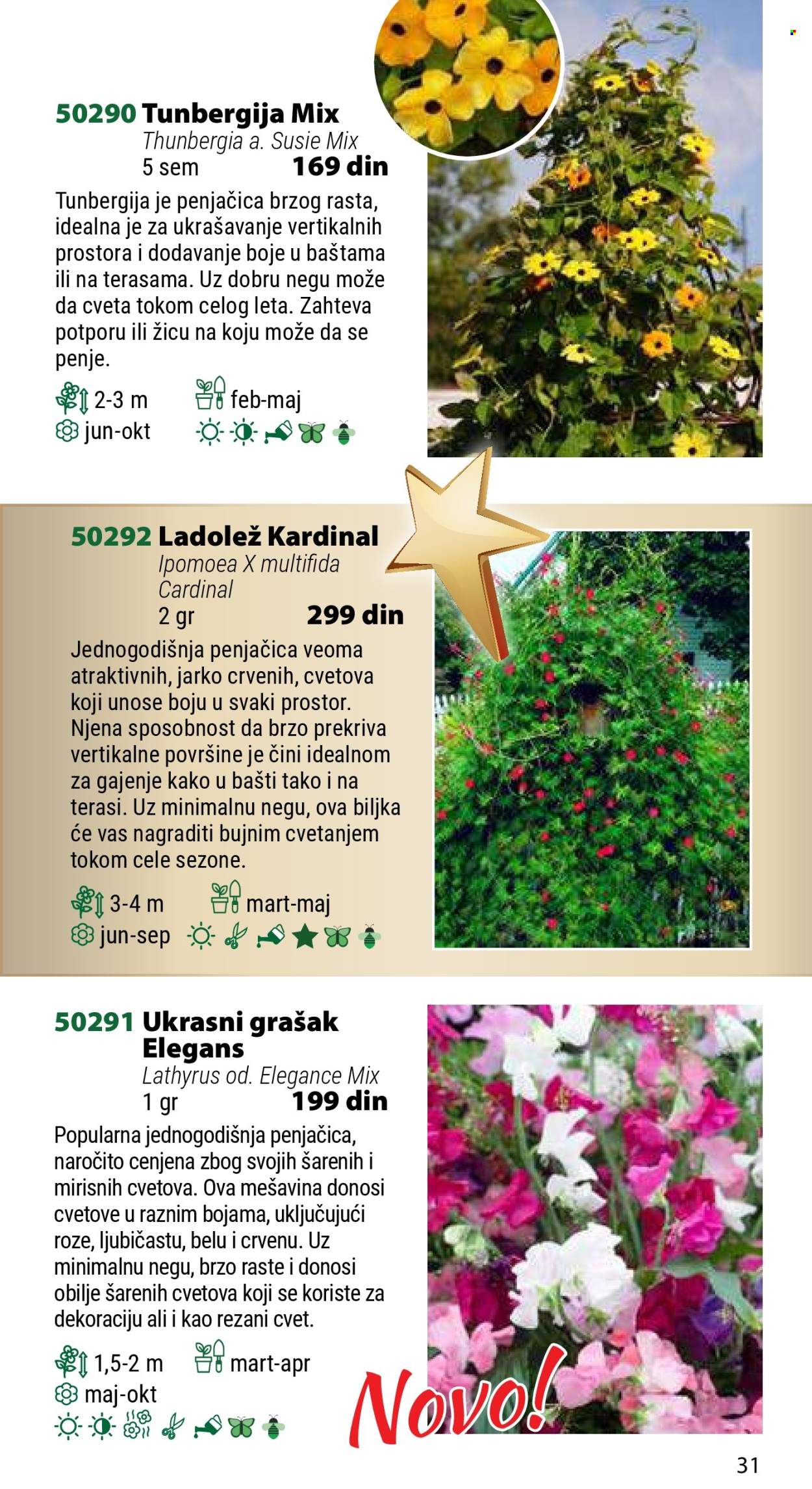 Flora Ekspres katalog .