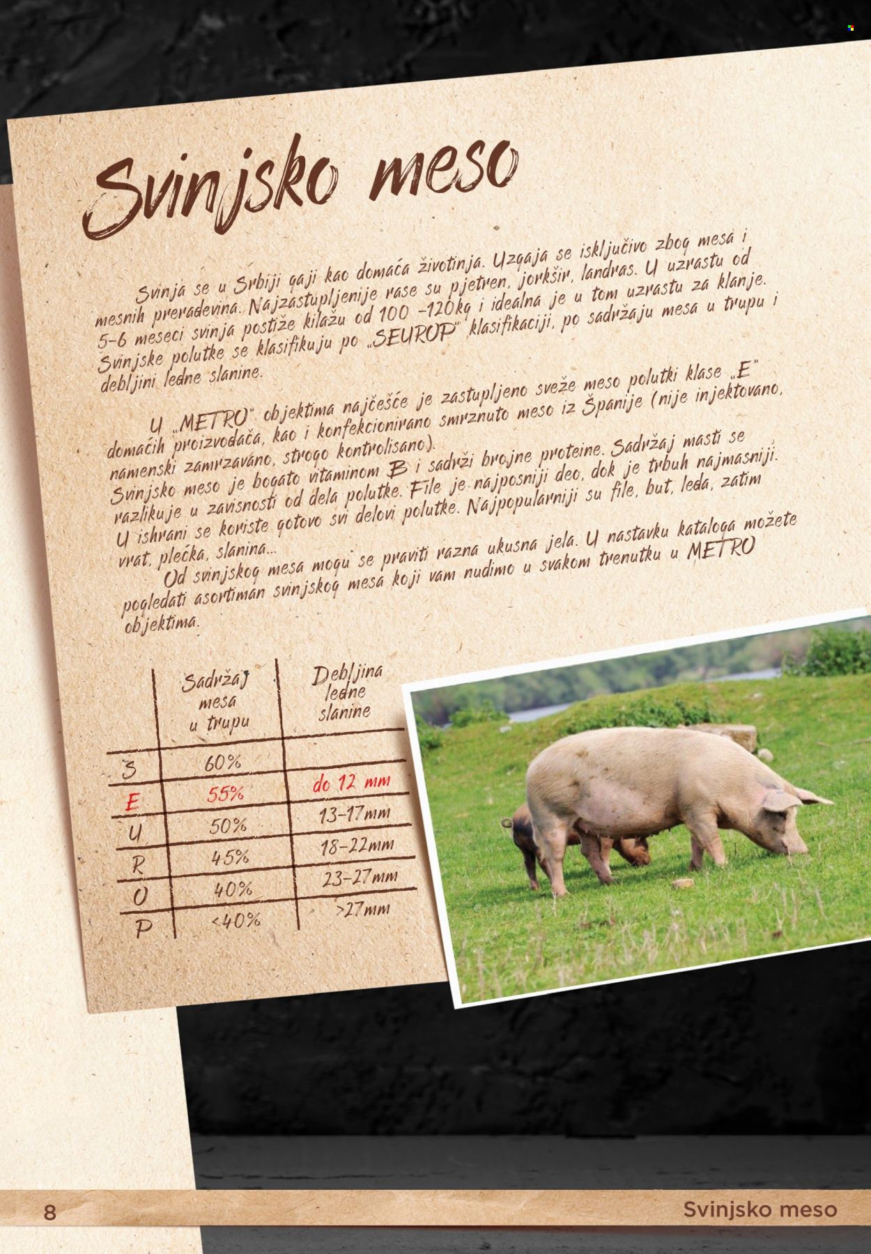 Metro katalog . Stranica 8