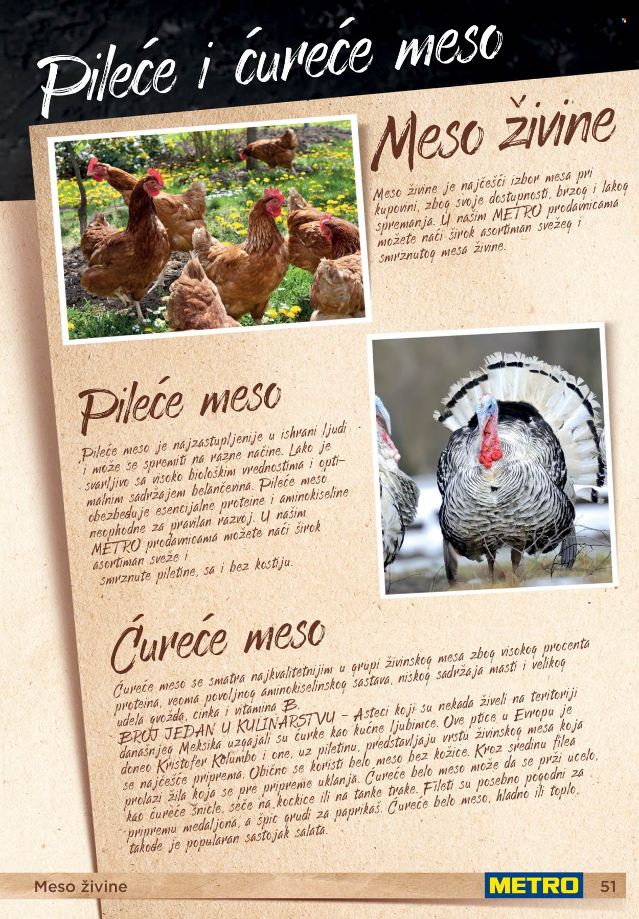 Metro katalog . Stranica 51