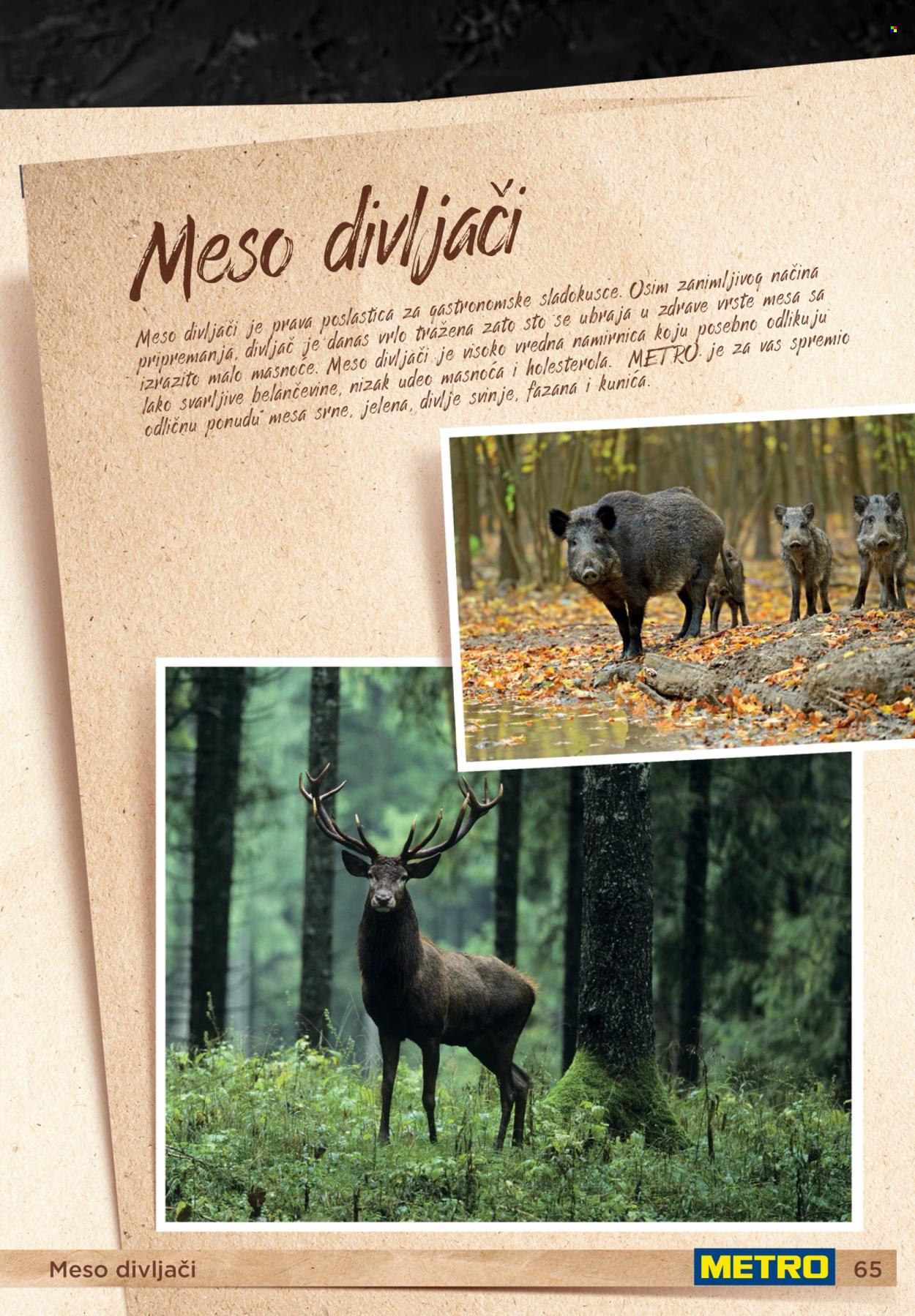 Metro katalog . Stranica 65