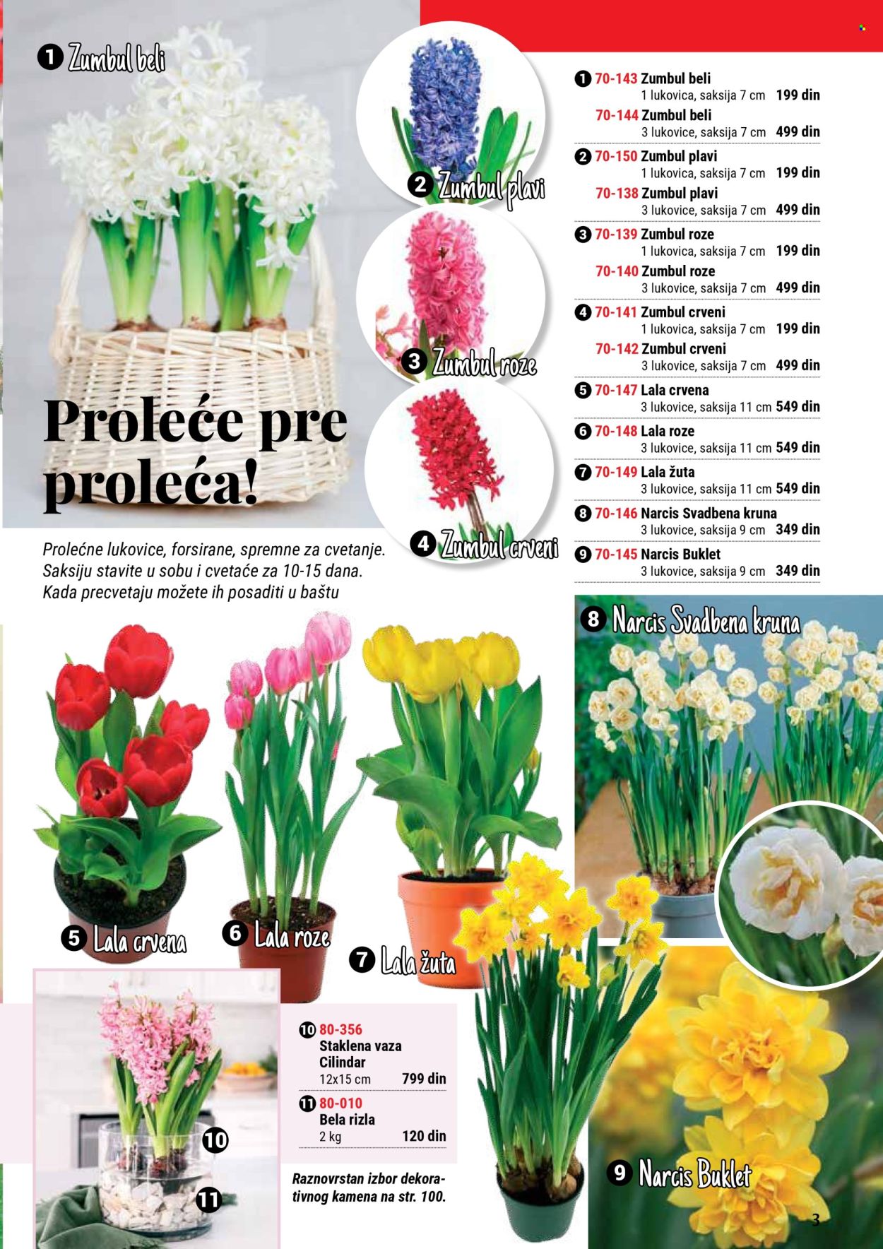 Flora Ekspres katalog .