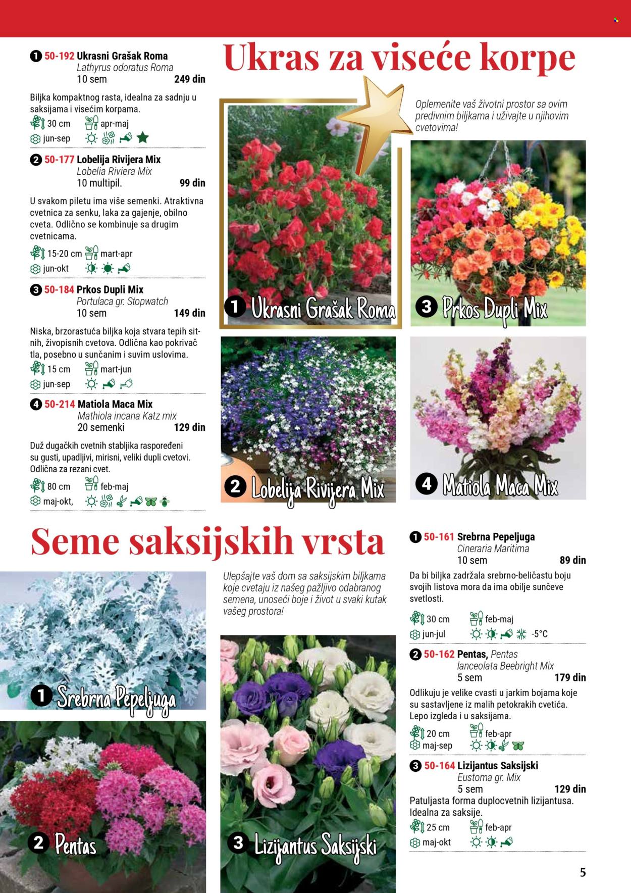 Flora Ekspres katalog .