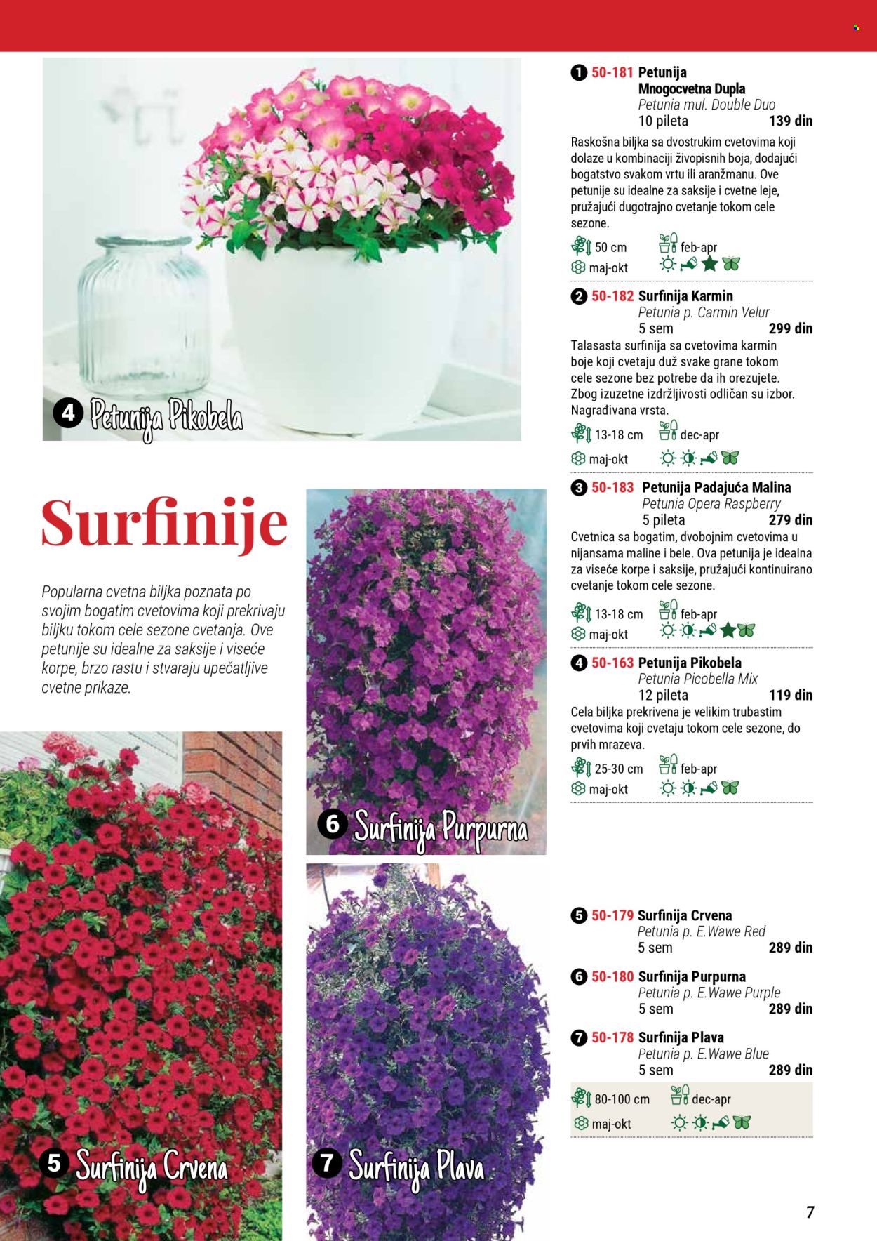 Flora Ekspres katalog .