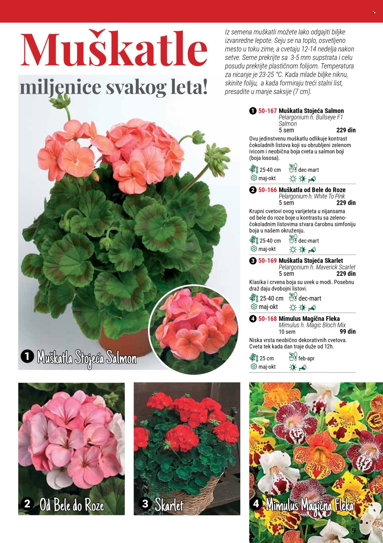 Flora Ekspres katalog .